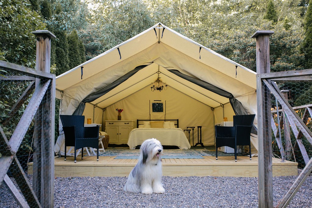 WILEY does NOT come with your tent ;)