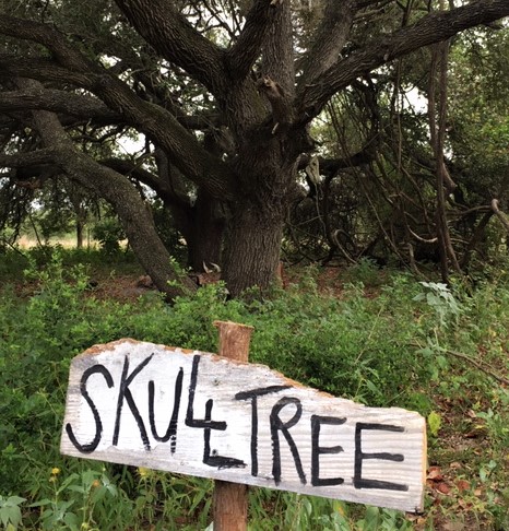 Easily find your campsite with prominent signage.