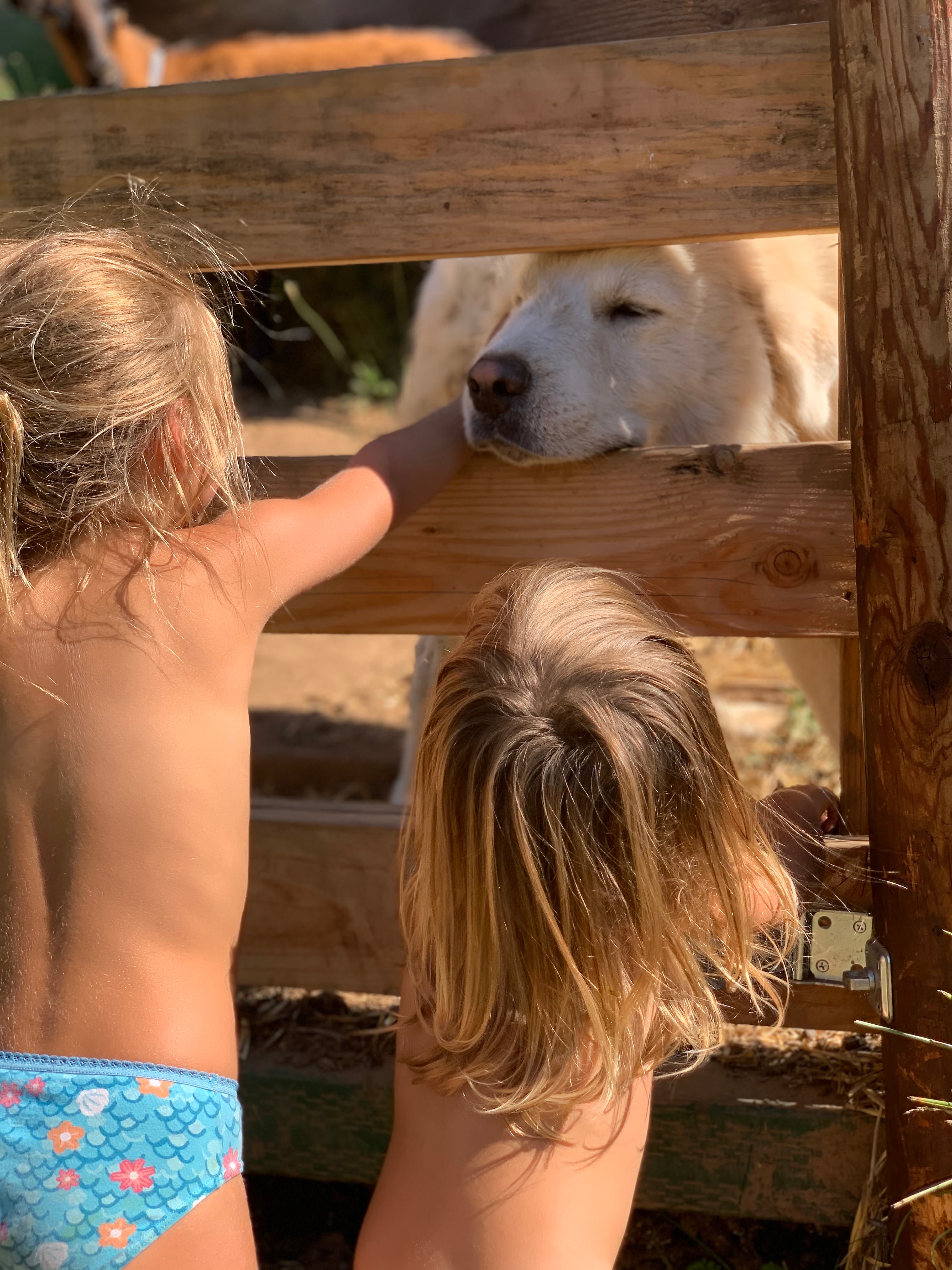 Grateful Valley Land