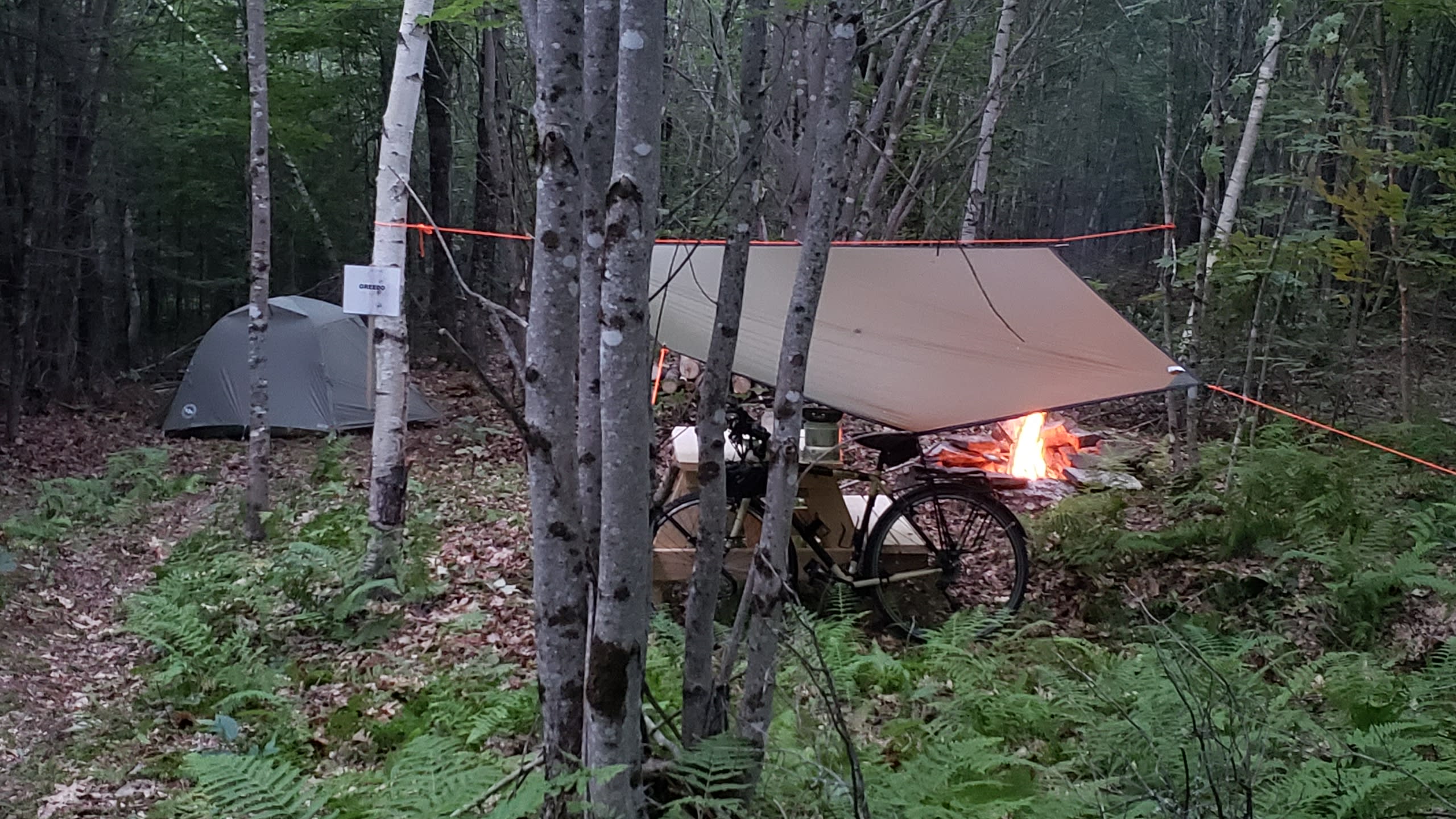Sebasticook millennium Green