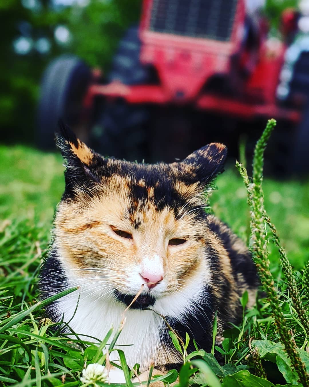 Heavenly Acres Creekside Camp