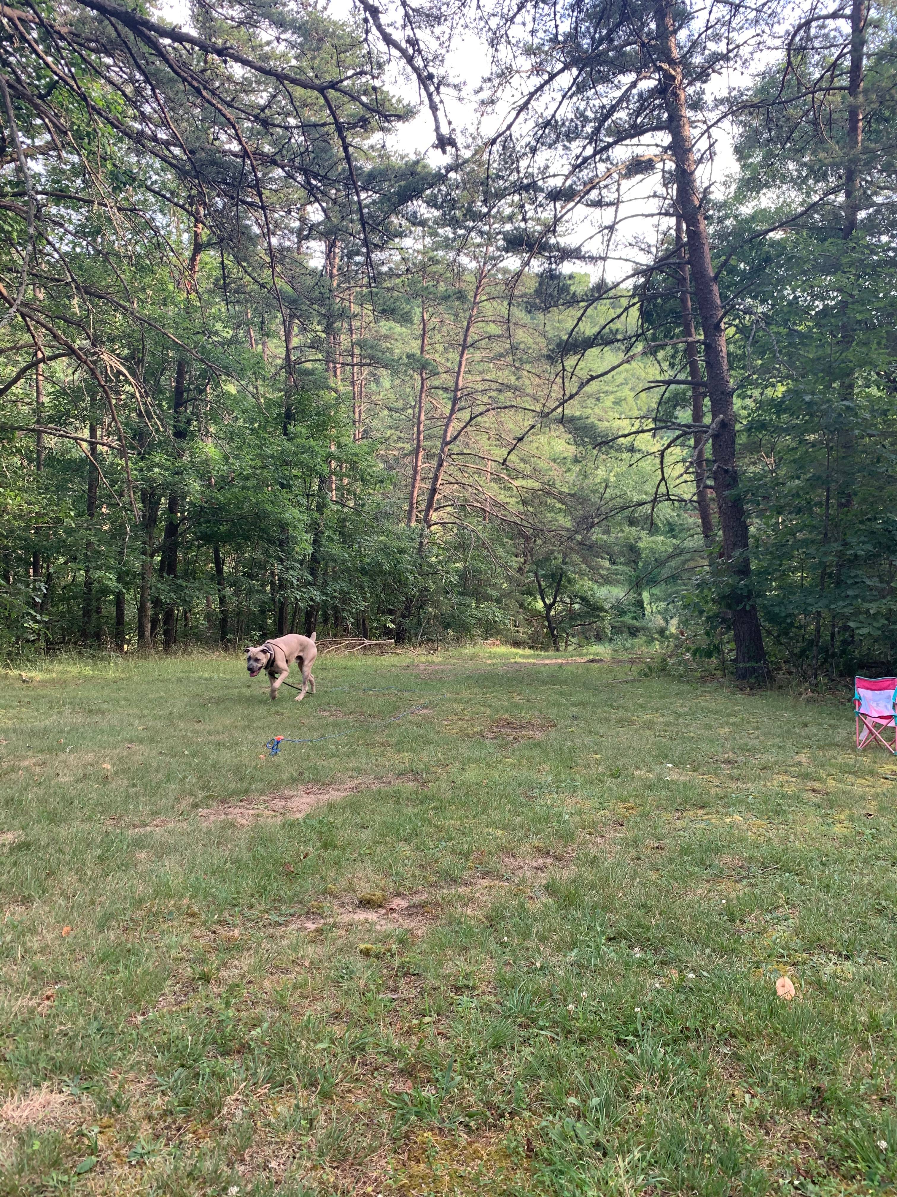 Cold Sulphur Springs Campground