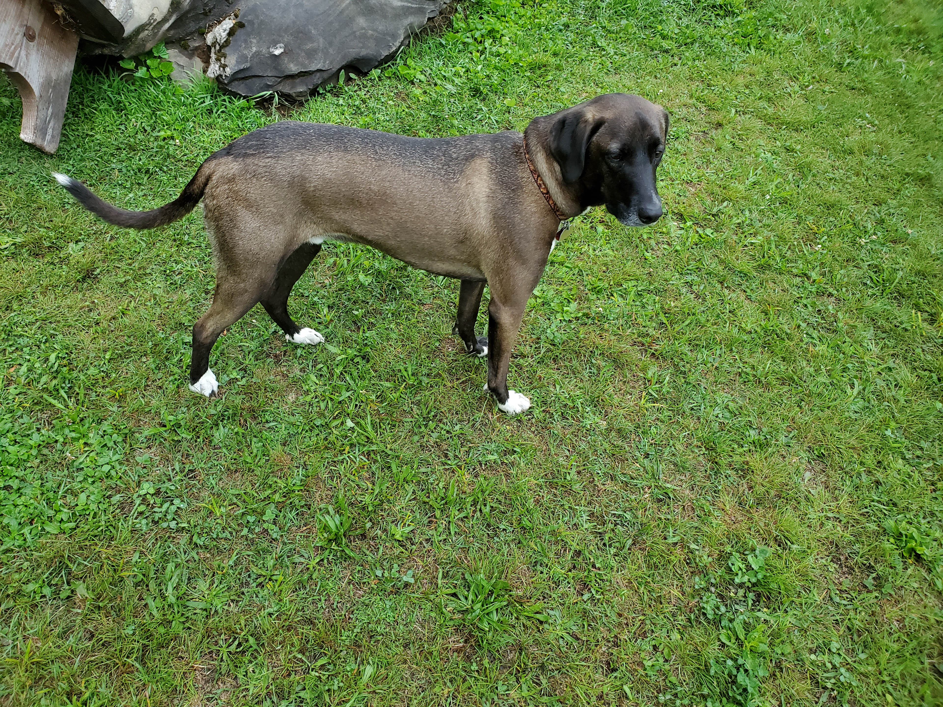 Windswept Acres Campsite
