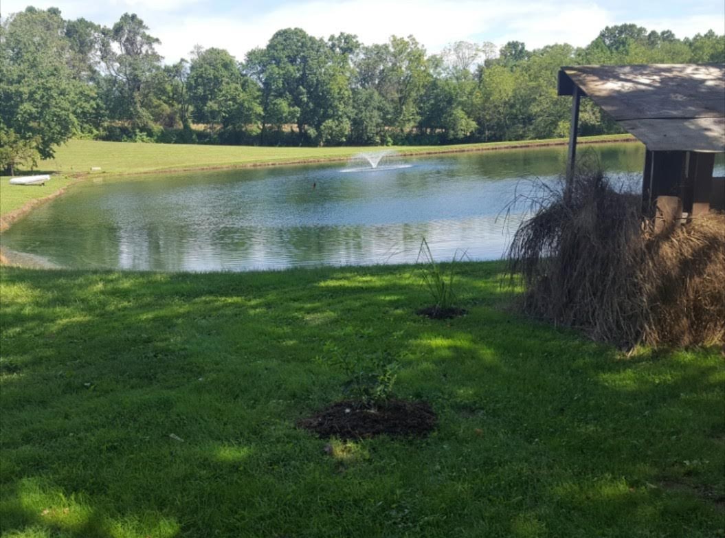 Fawn View Farm, Pond & Fields