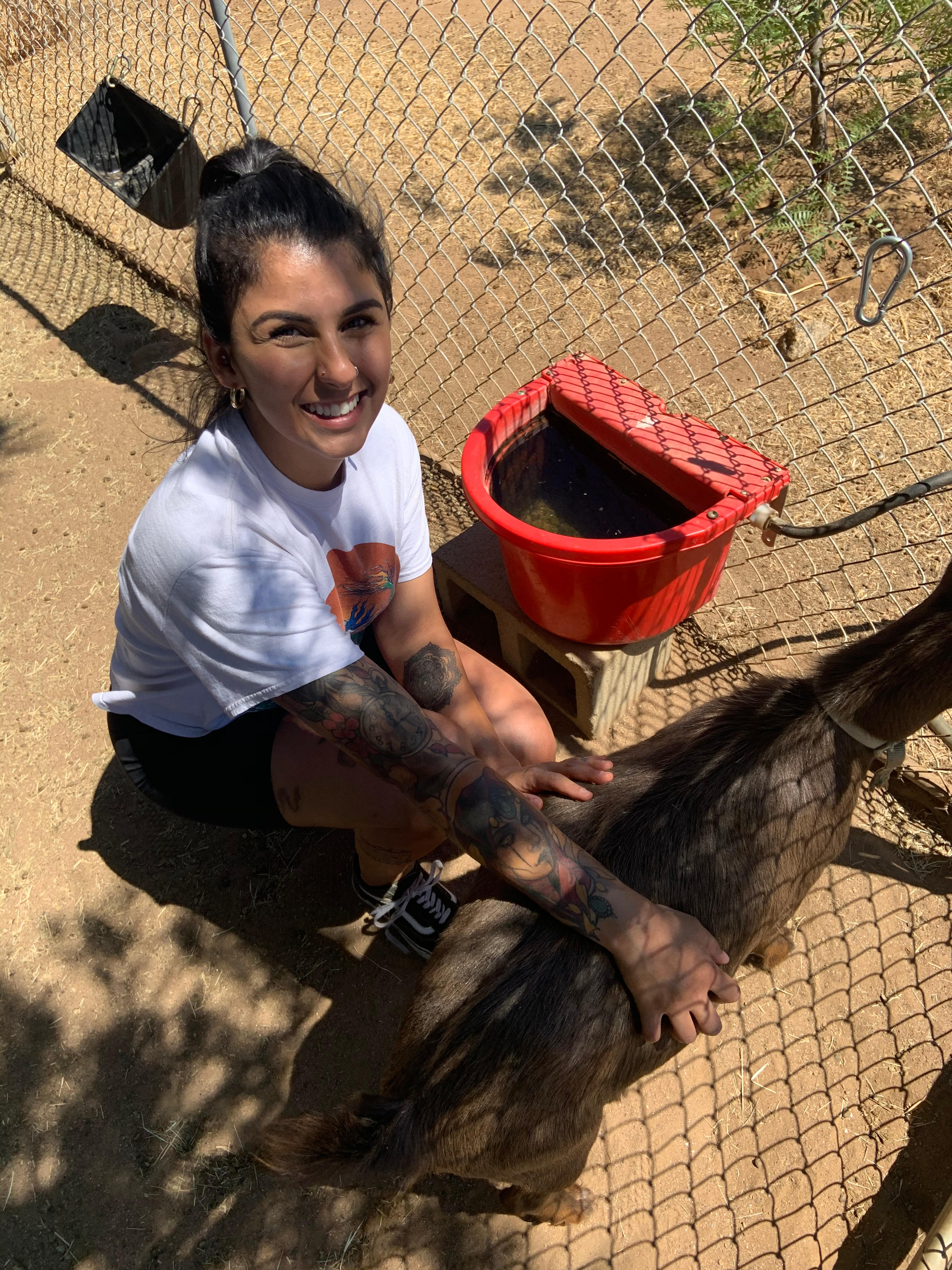 Goats!