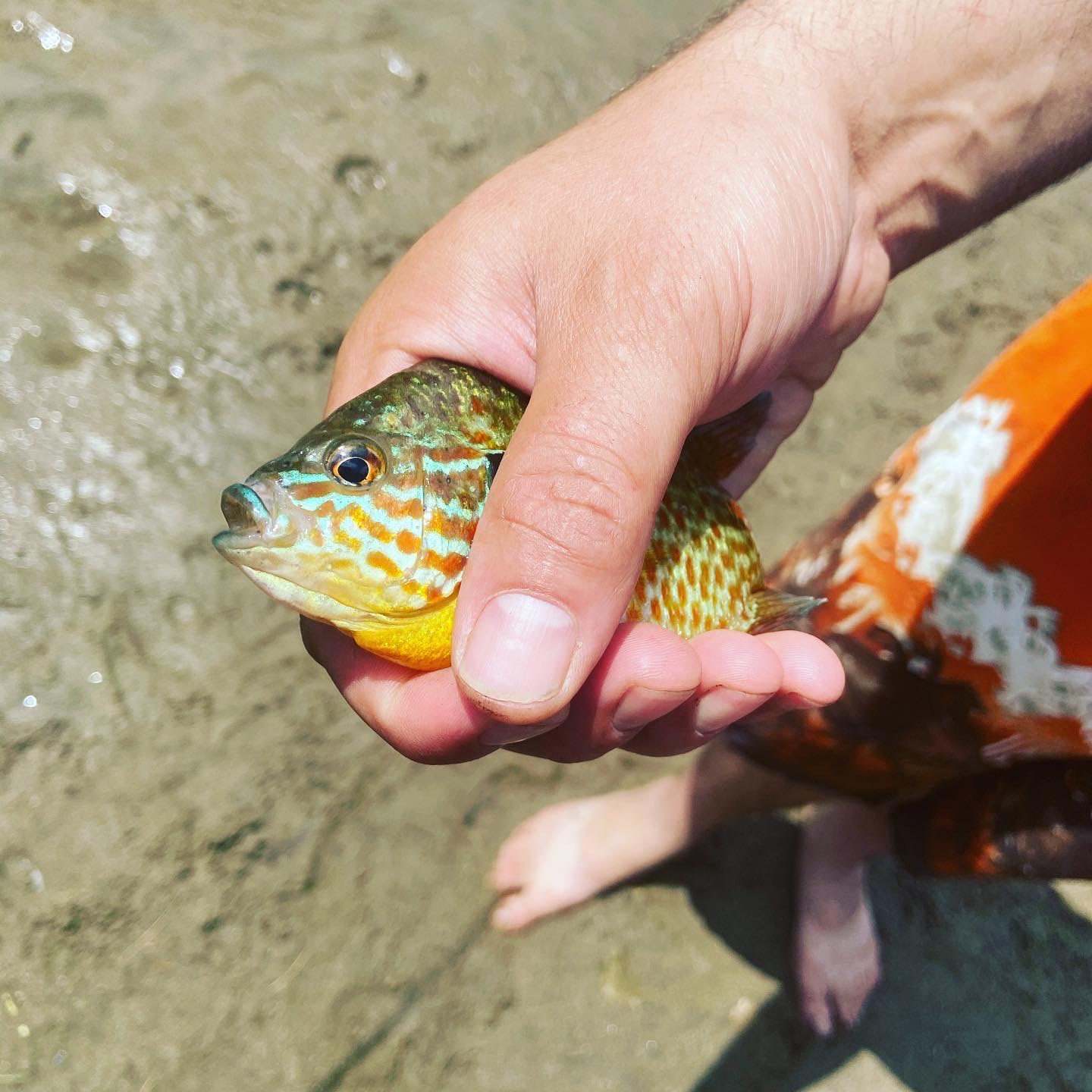 Transparent Sands, Diamond Point