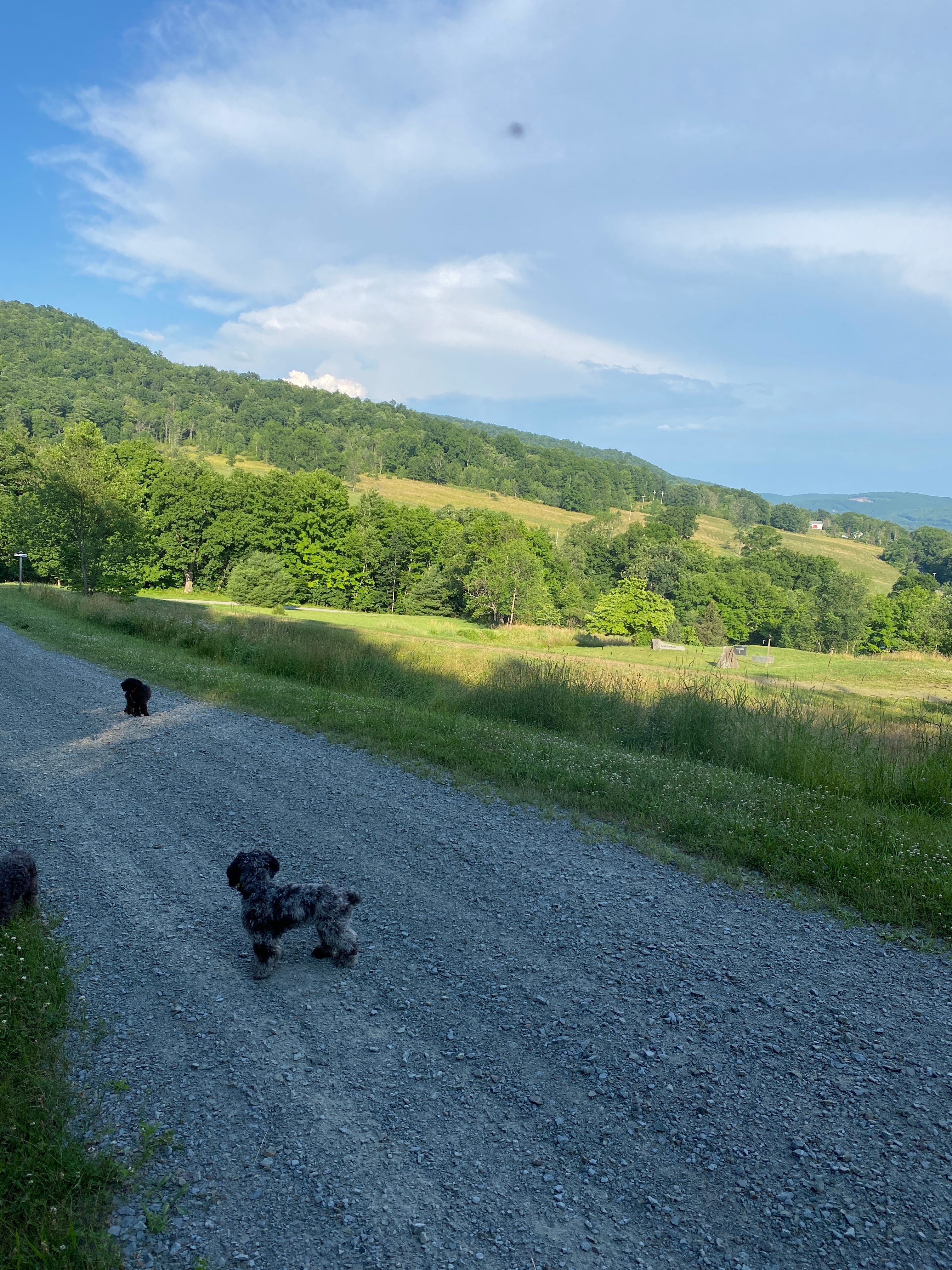 Private road on property 