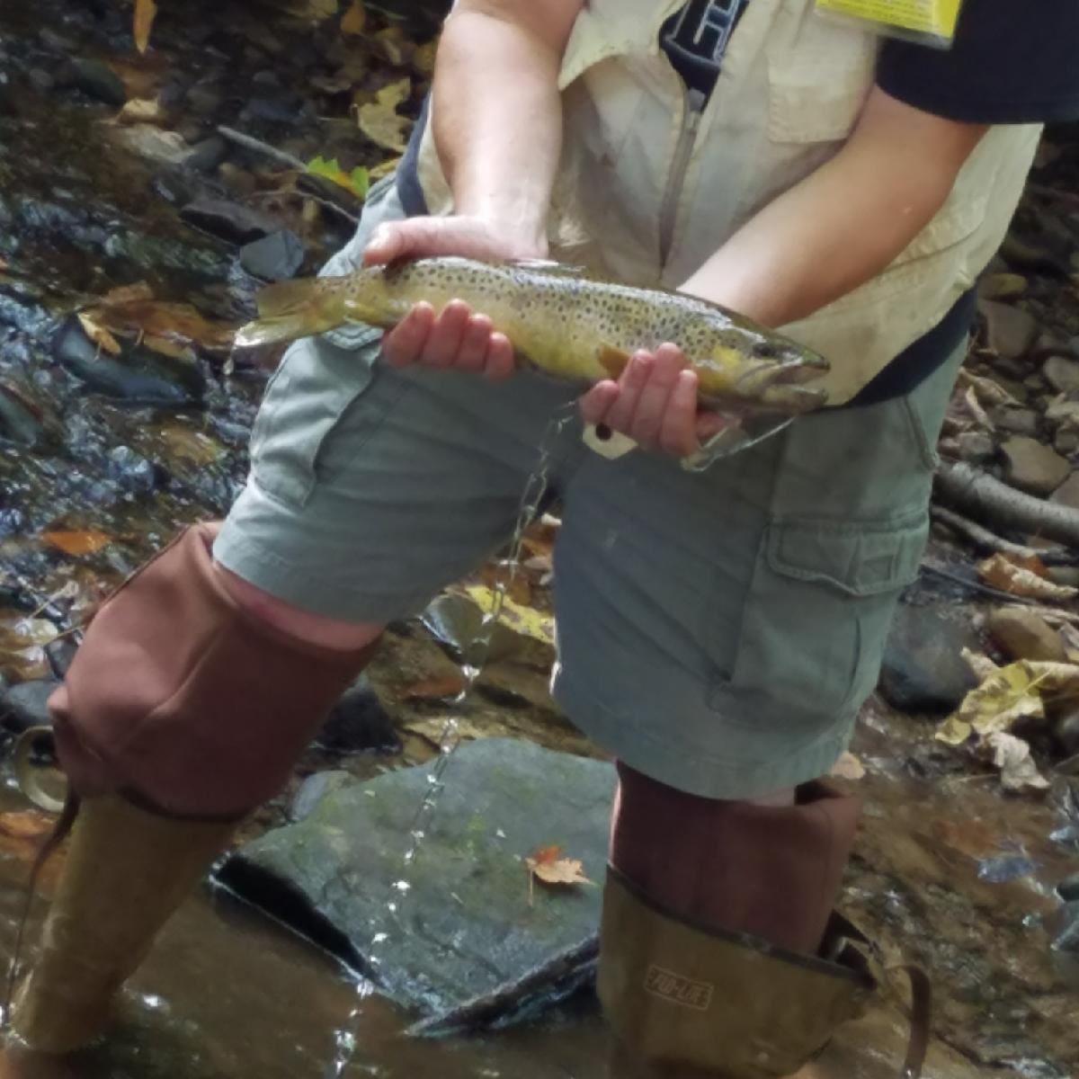 No, I didn't eat it! 😊