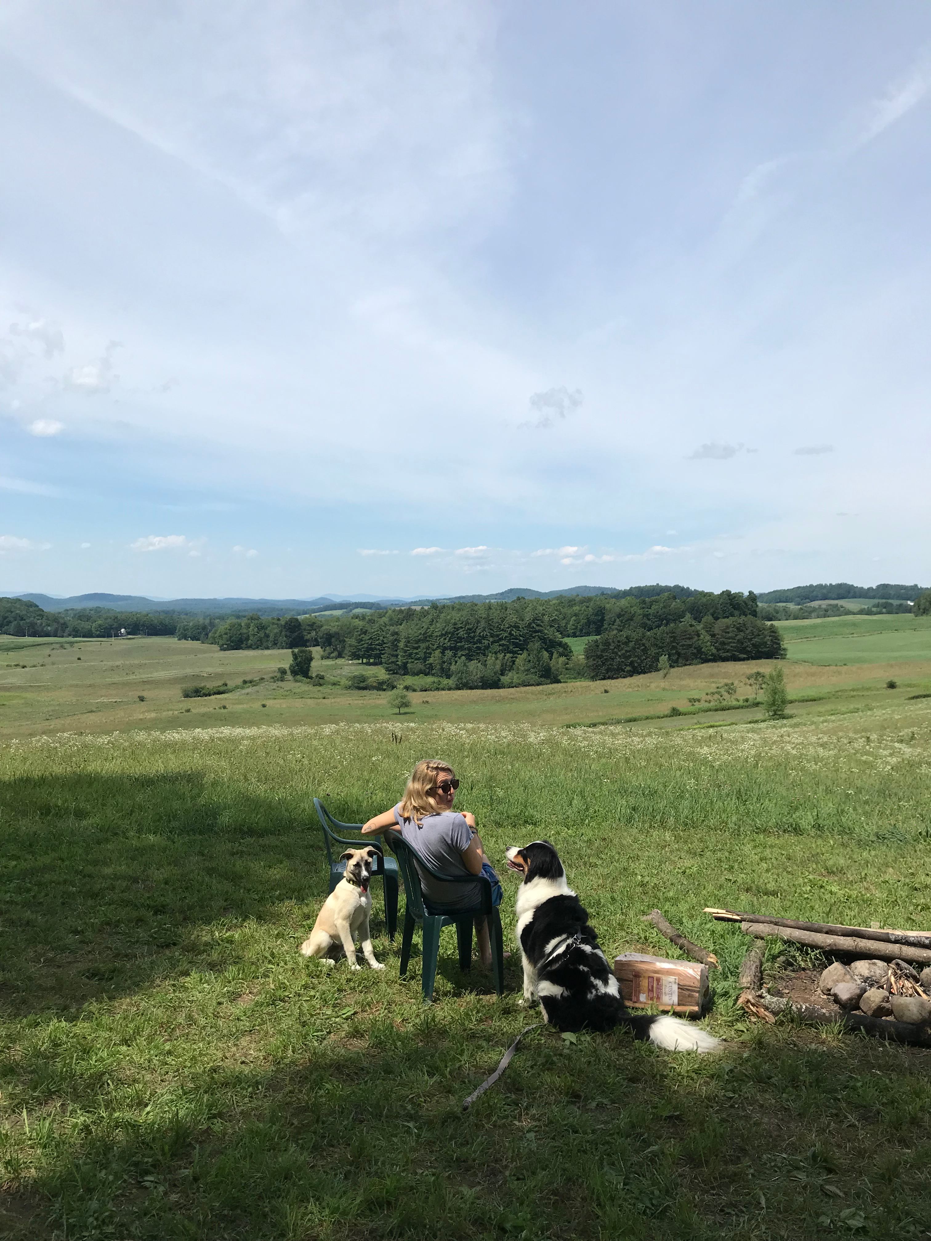 Archdale Meadows