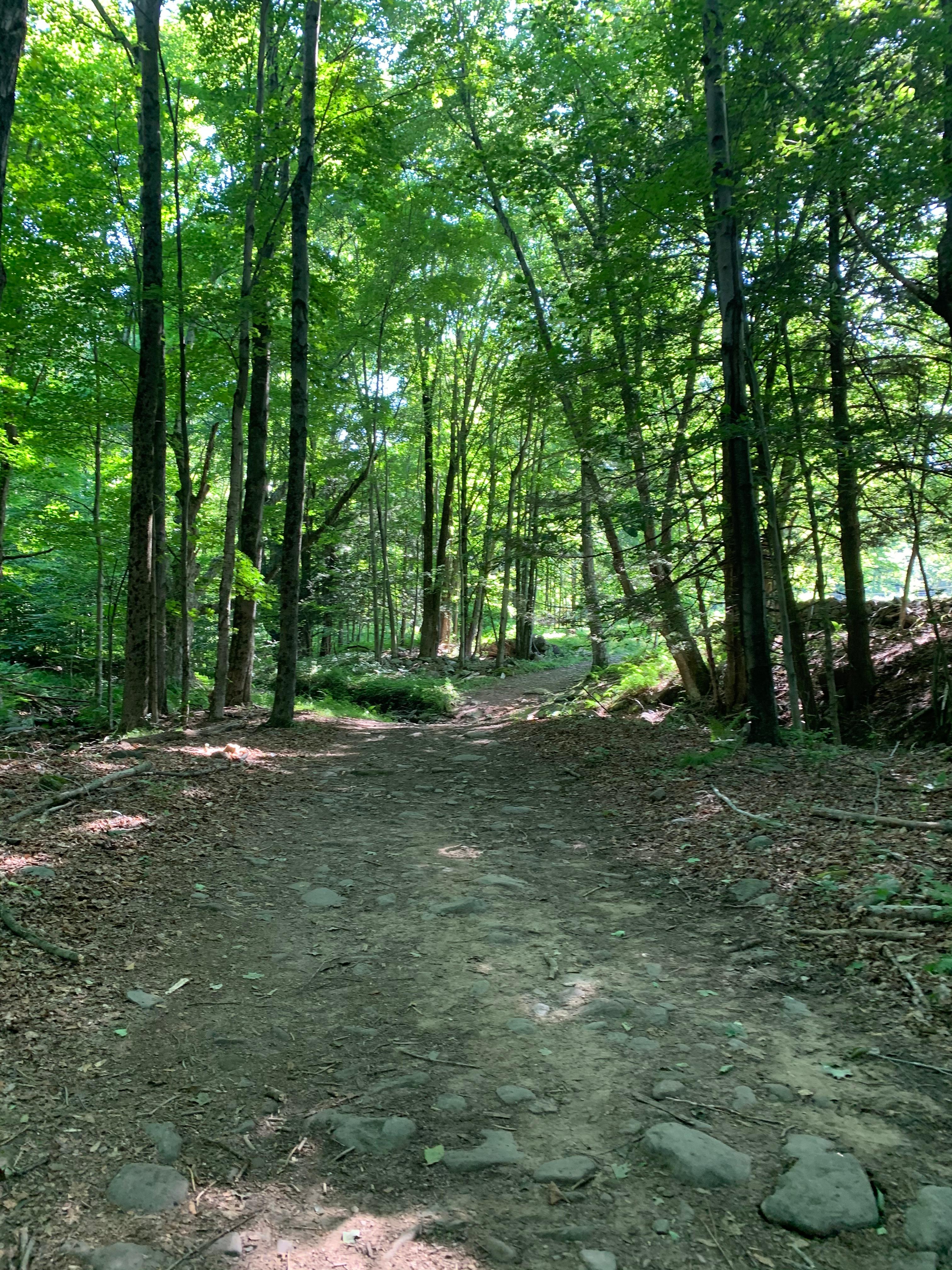 Dirt road to the camping field