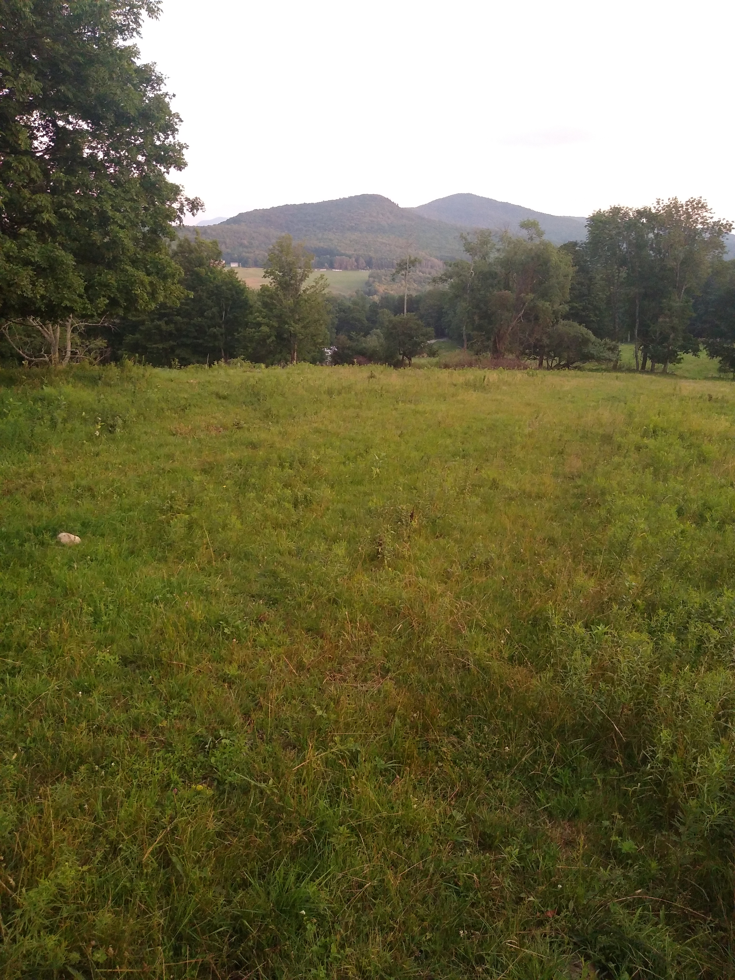 Squier Family Farm