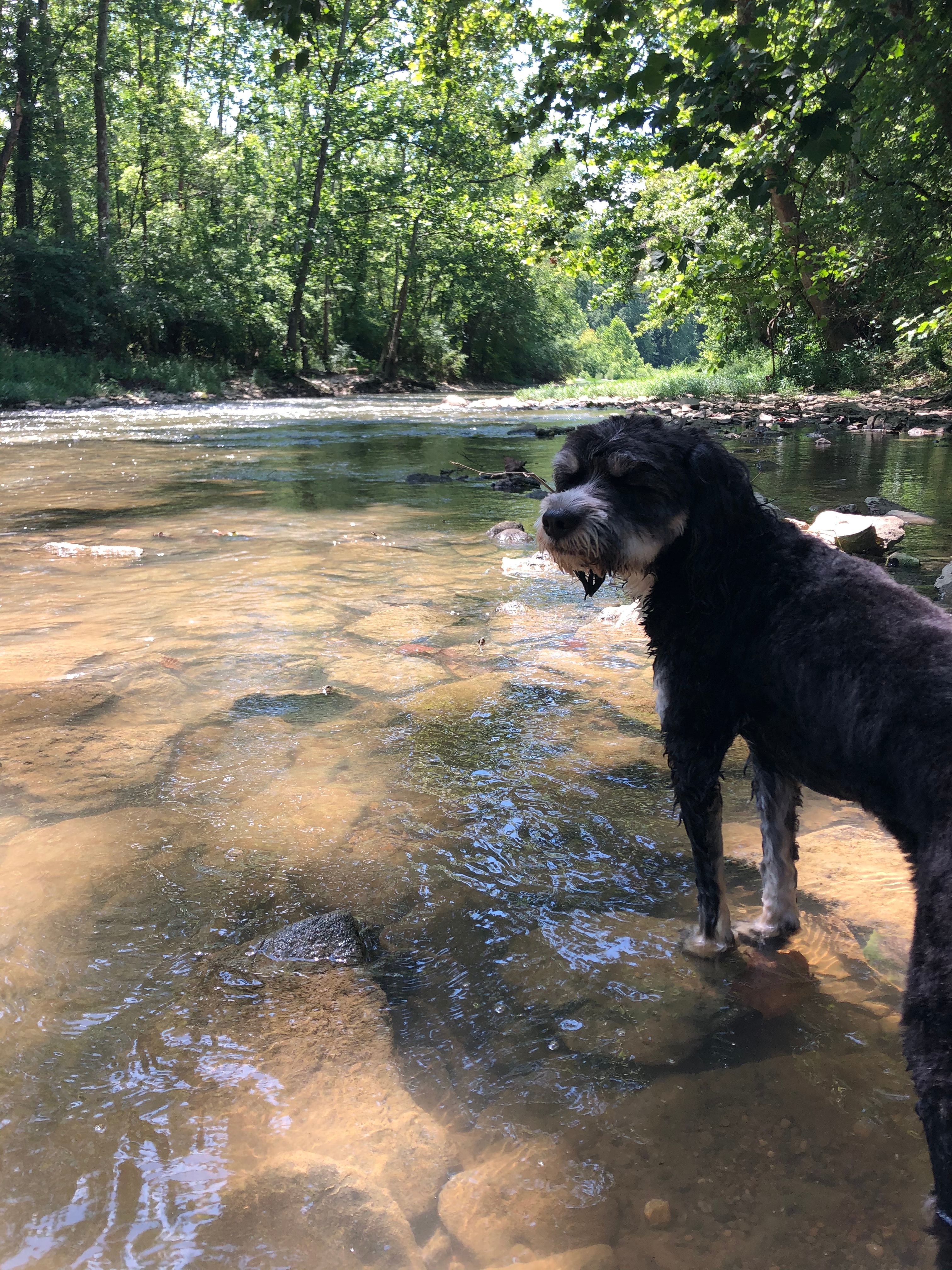 Todd’s Fork Adventures