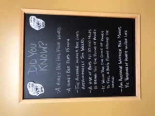 Fun bee facts in the bathroom !