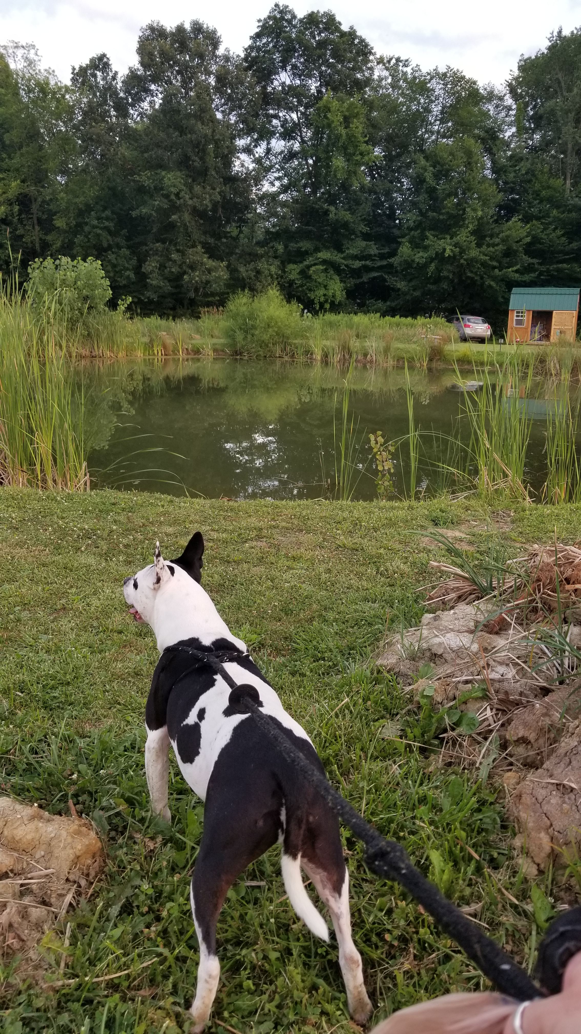 Grins & Pickin's CampFarm