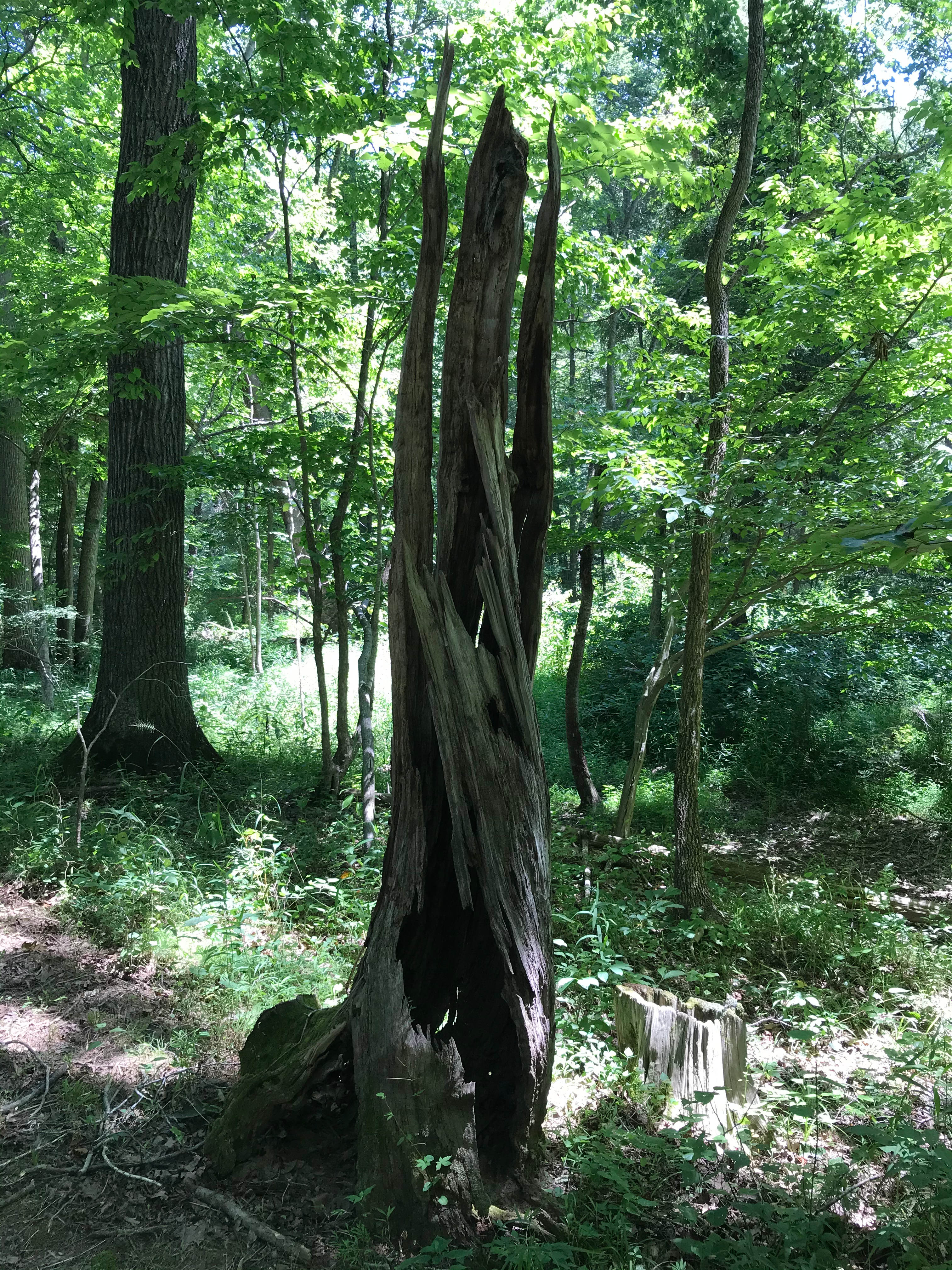 Nature ages gracefully!