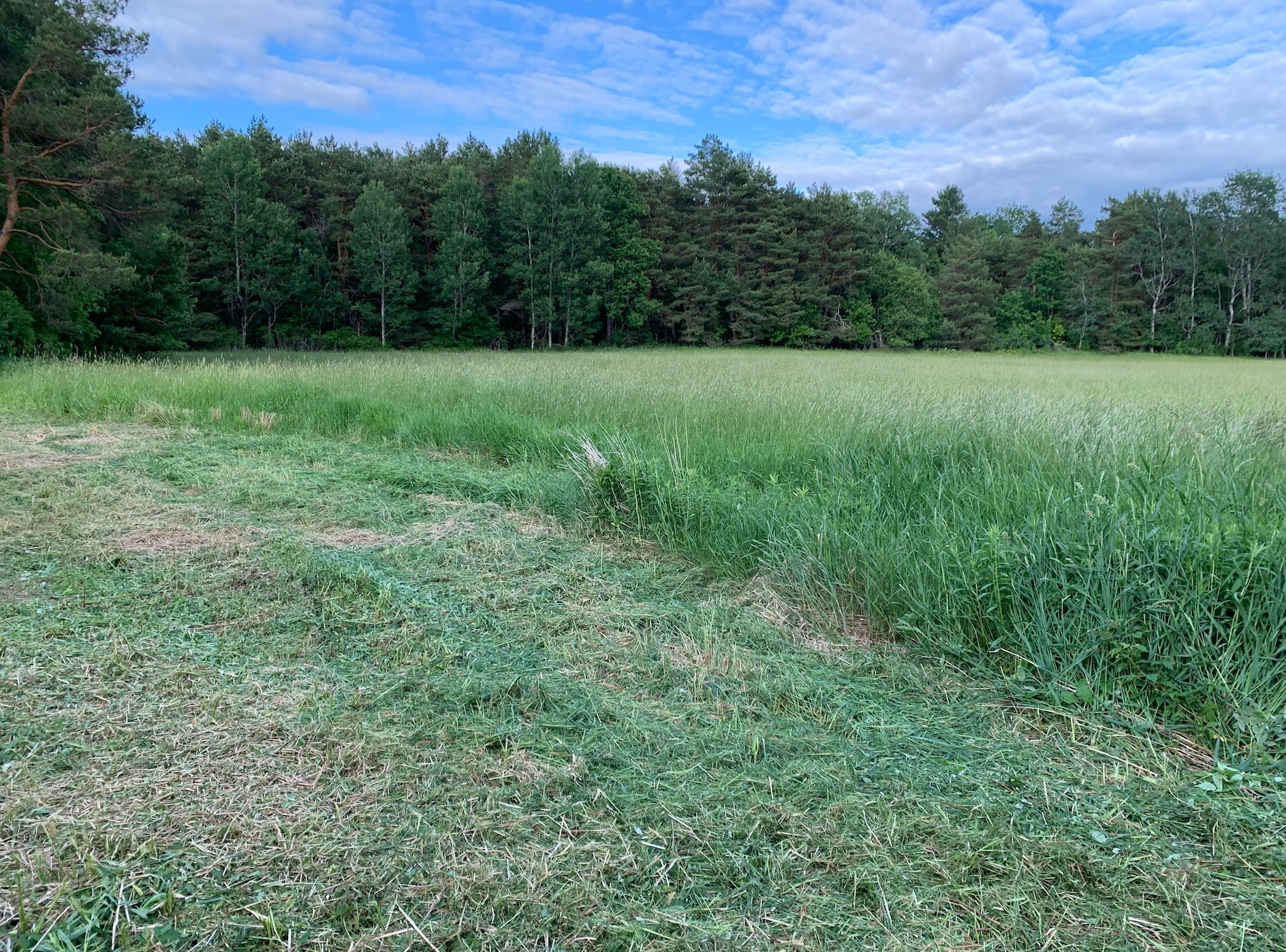 This is the site view.
