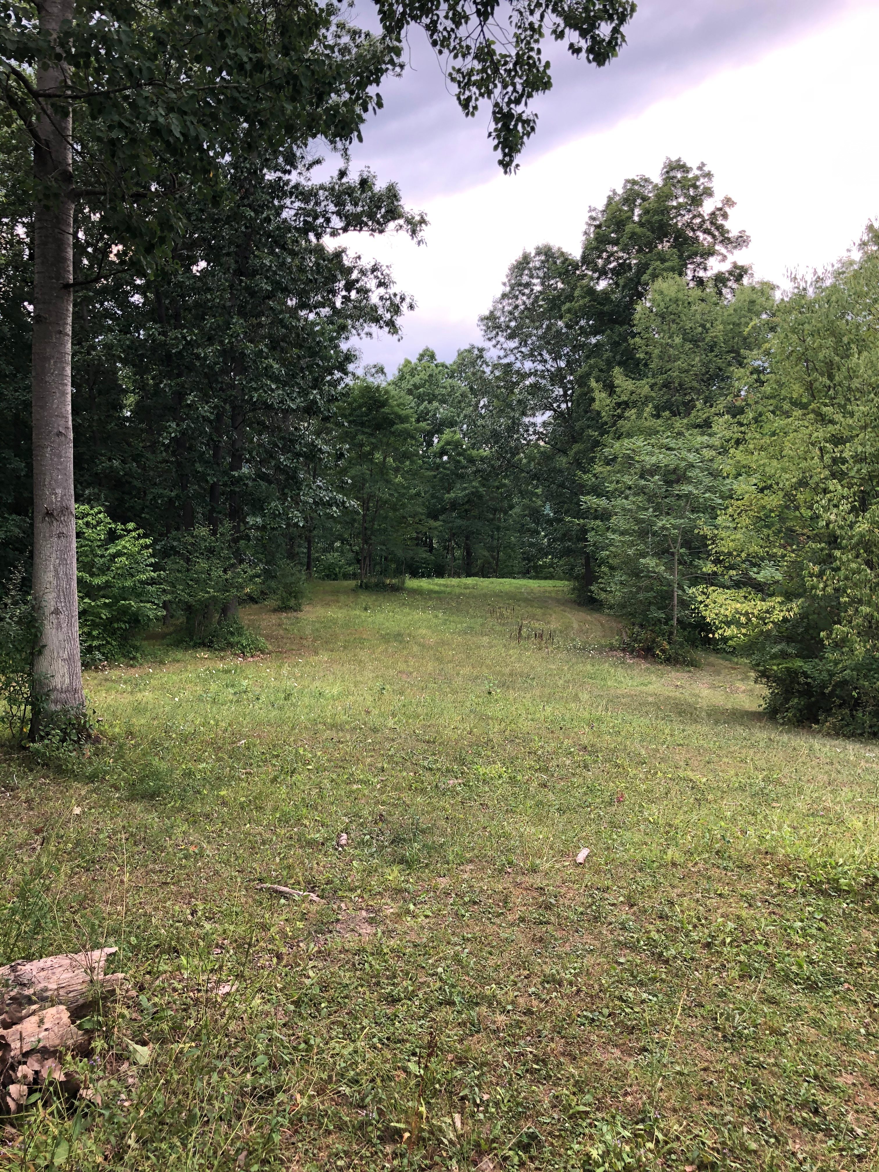 Open field that overlooks the creek down below, this site is within view of the horse pasture.