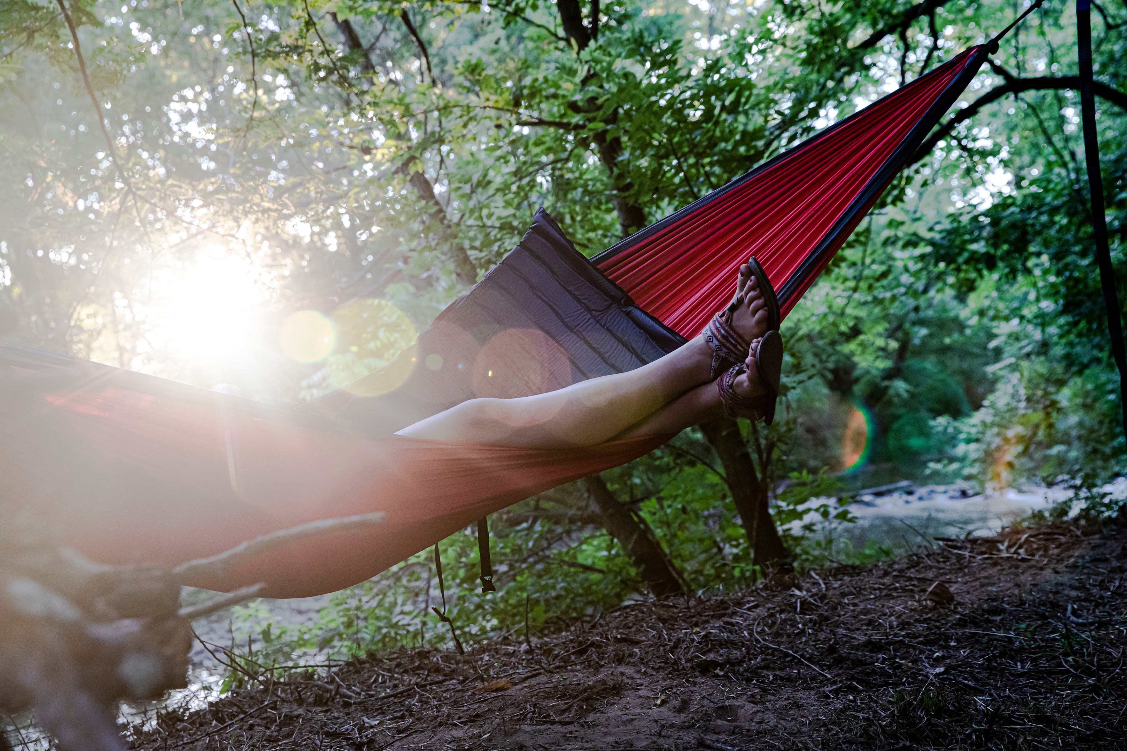 The hammocking here is phenomenal 