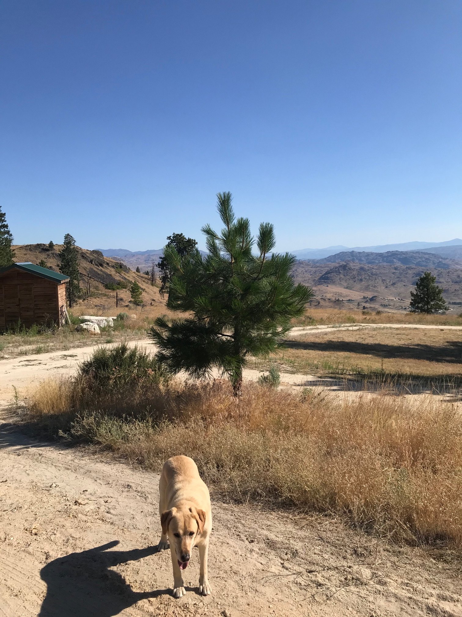 Looking East from RV pad