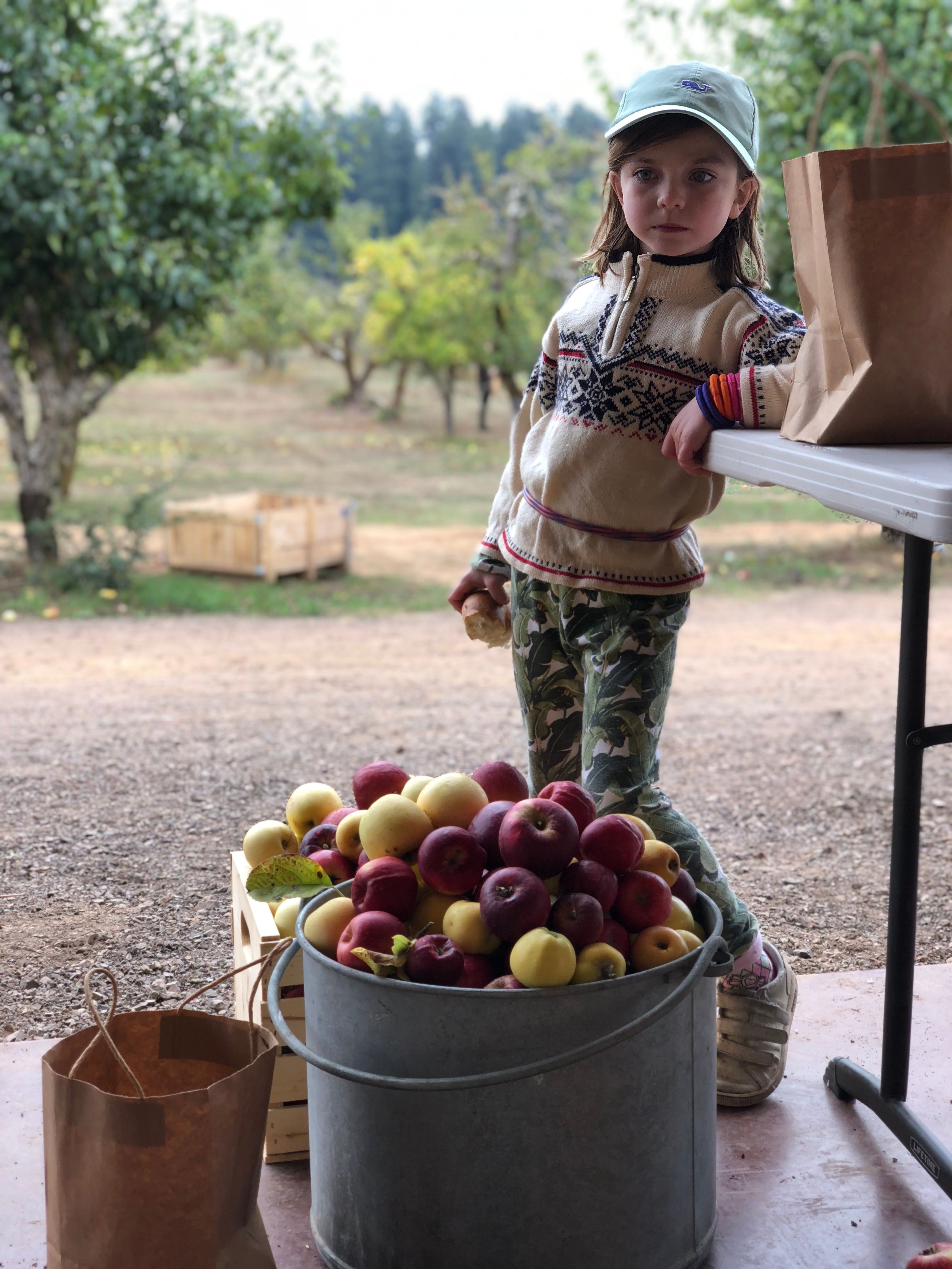 Littlest of apple harvesters