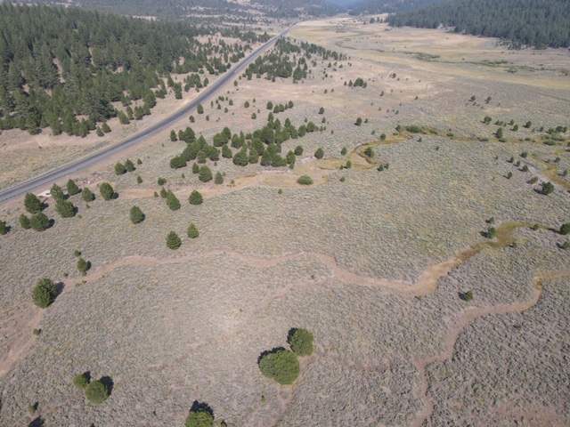 Phewpine Ranch