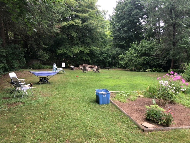 Backyard camping near college town