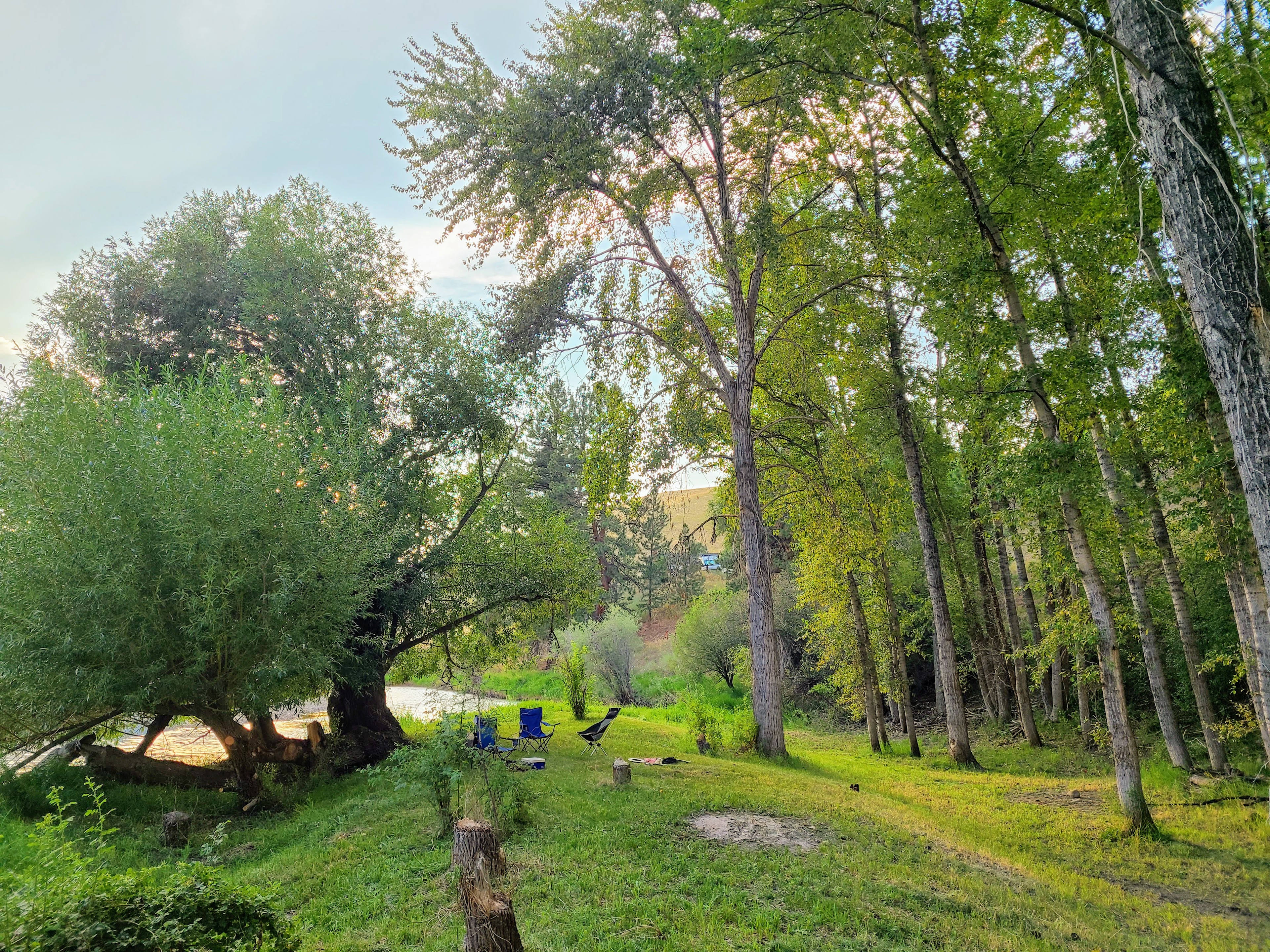 Wide View of Site