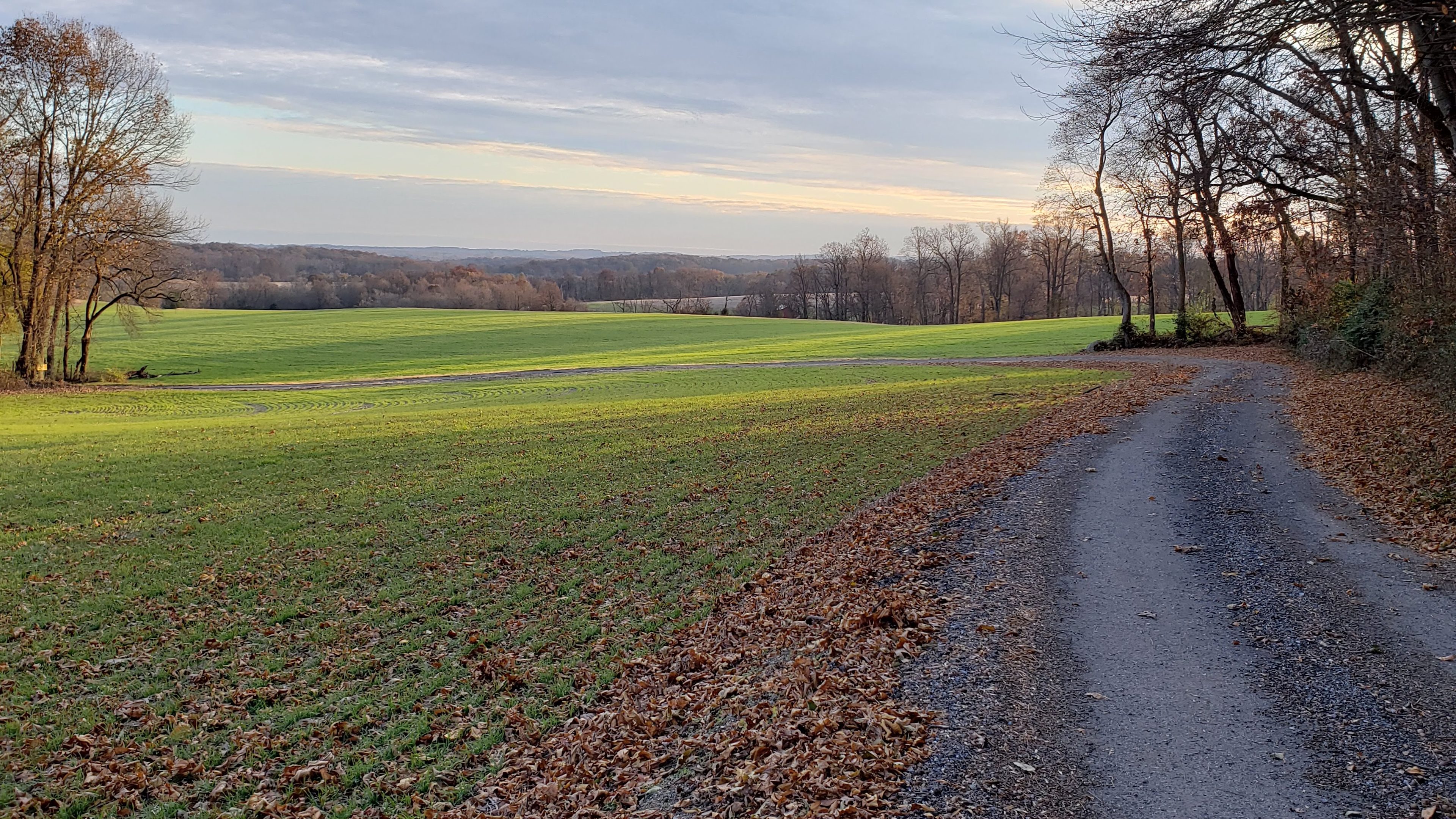 Fawn View Farm, Pond & Fields