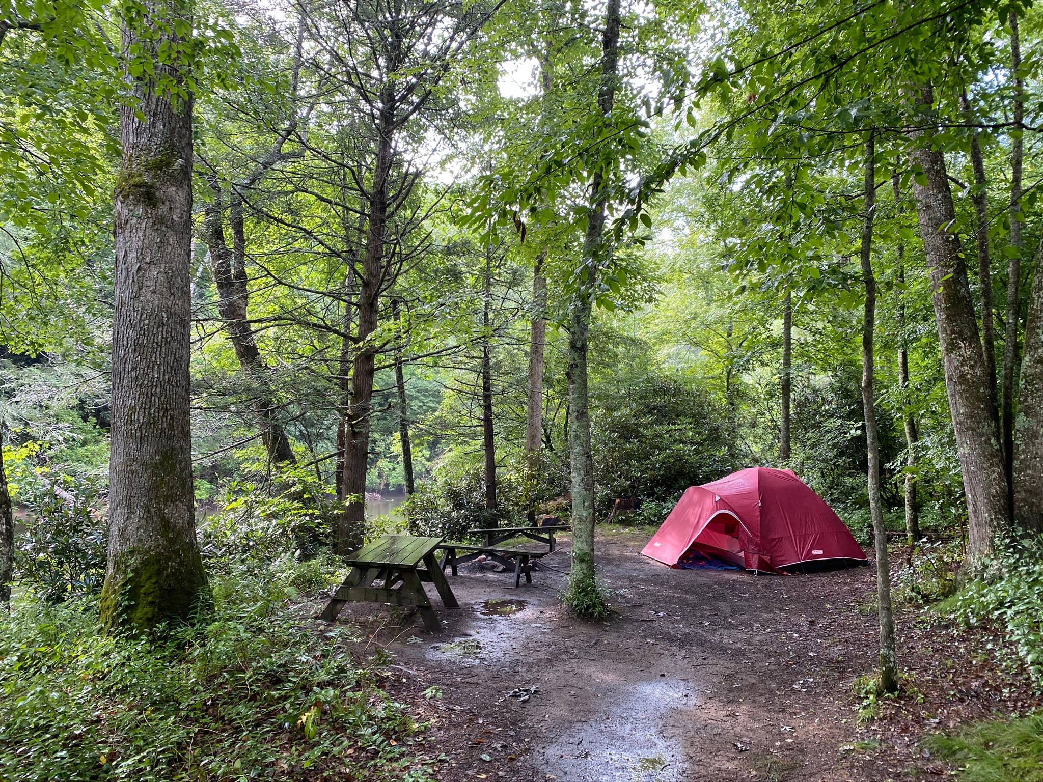 Site 1