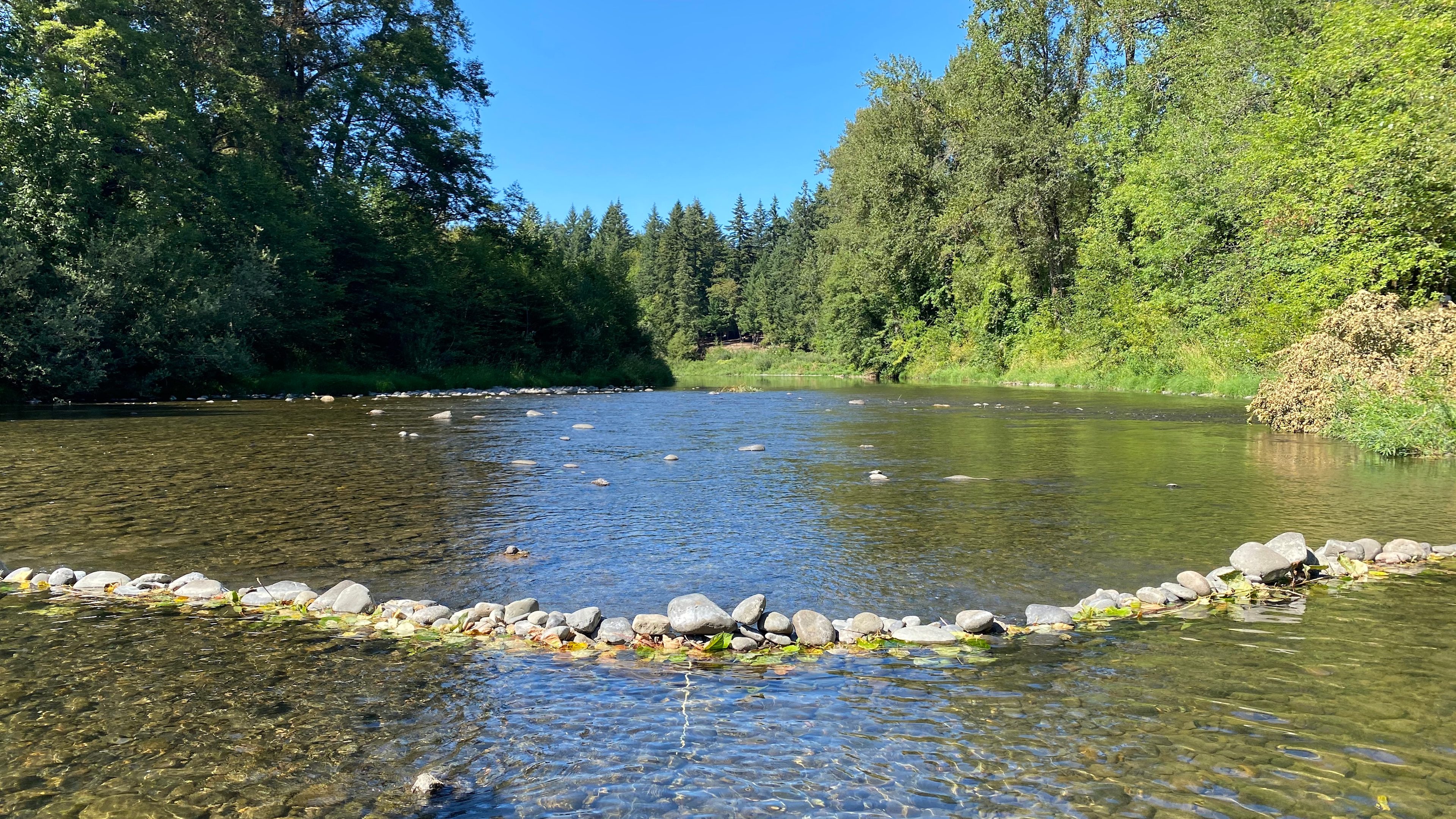 Pretty shallow this time of year, and super slippery rocks. Warm water and the swimming hole is up to the right. 