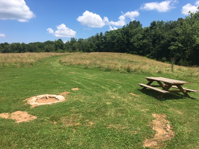 Camping area at Site 2 looking Northeast