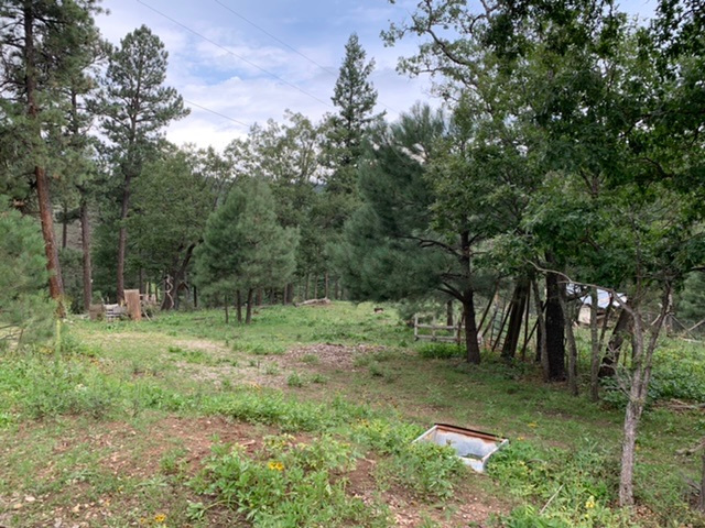 Site #1 RV parking or tent pitch. 