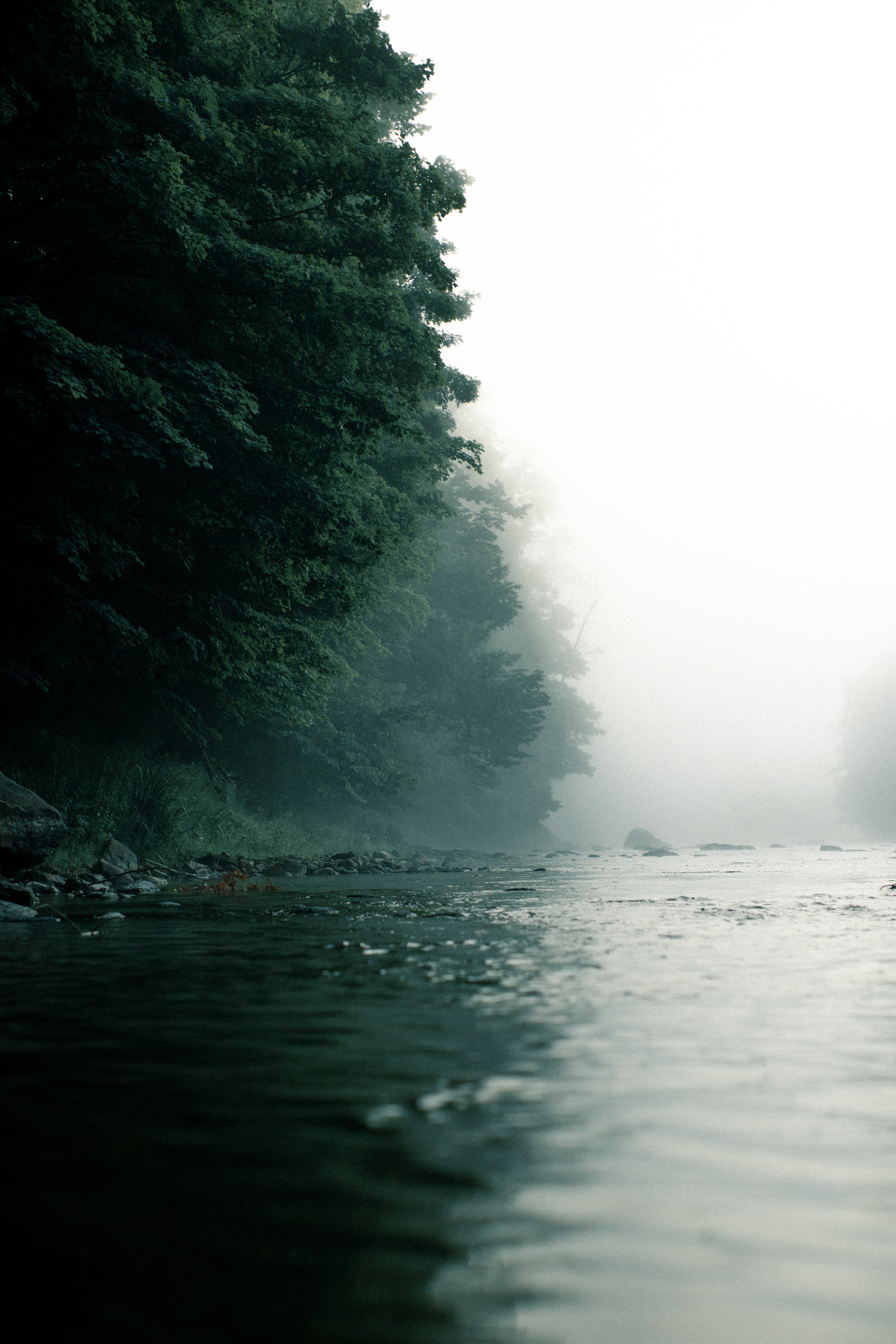 Plenty of swimming spots near by to escape the heat!