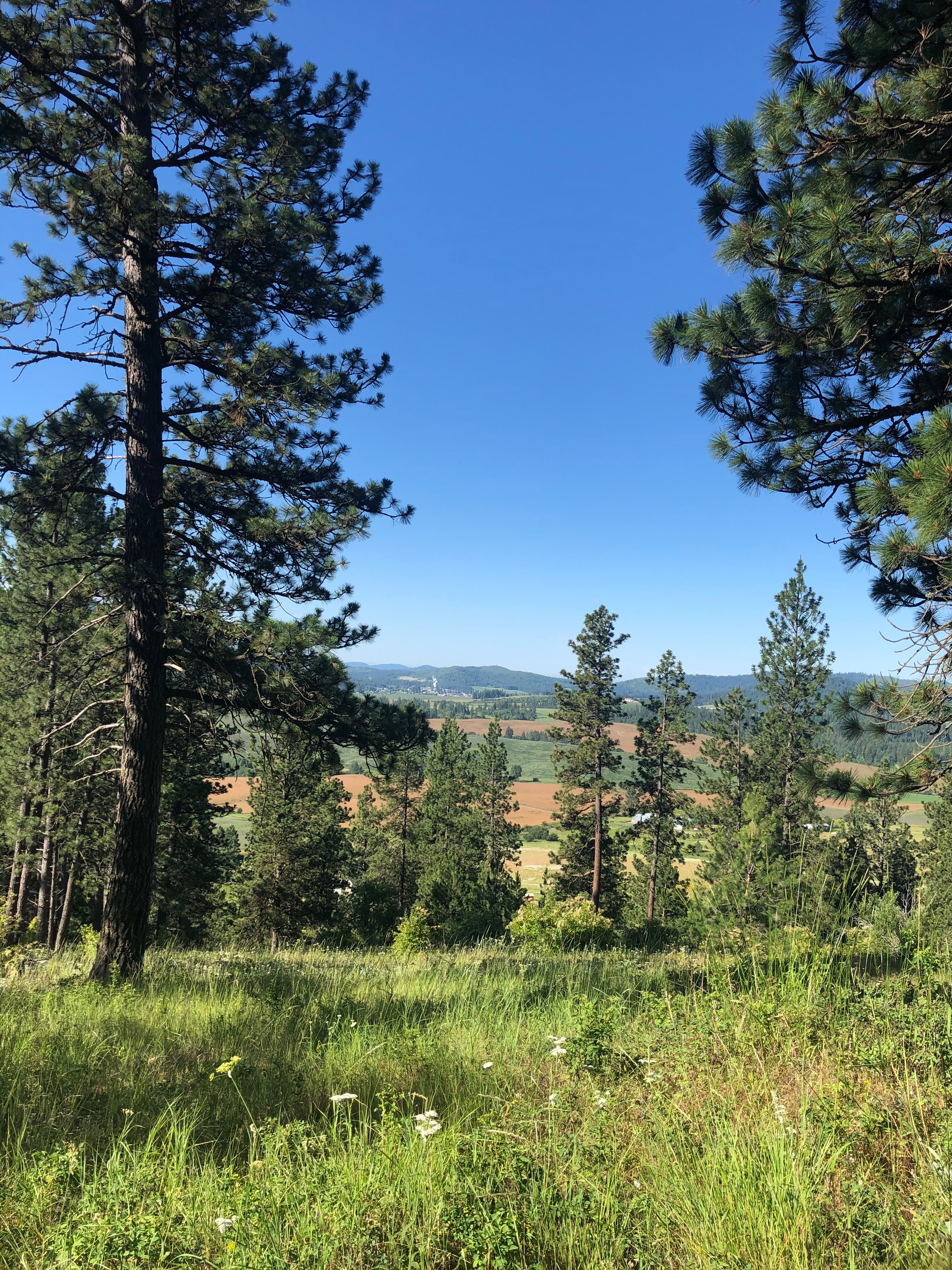 North Idaho R&R Ranch