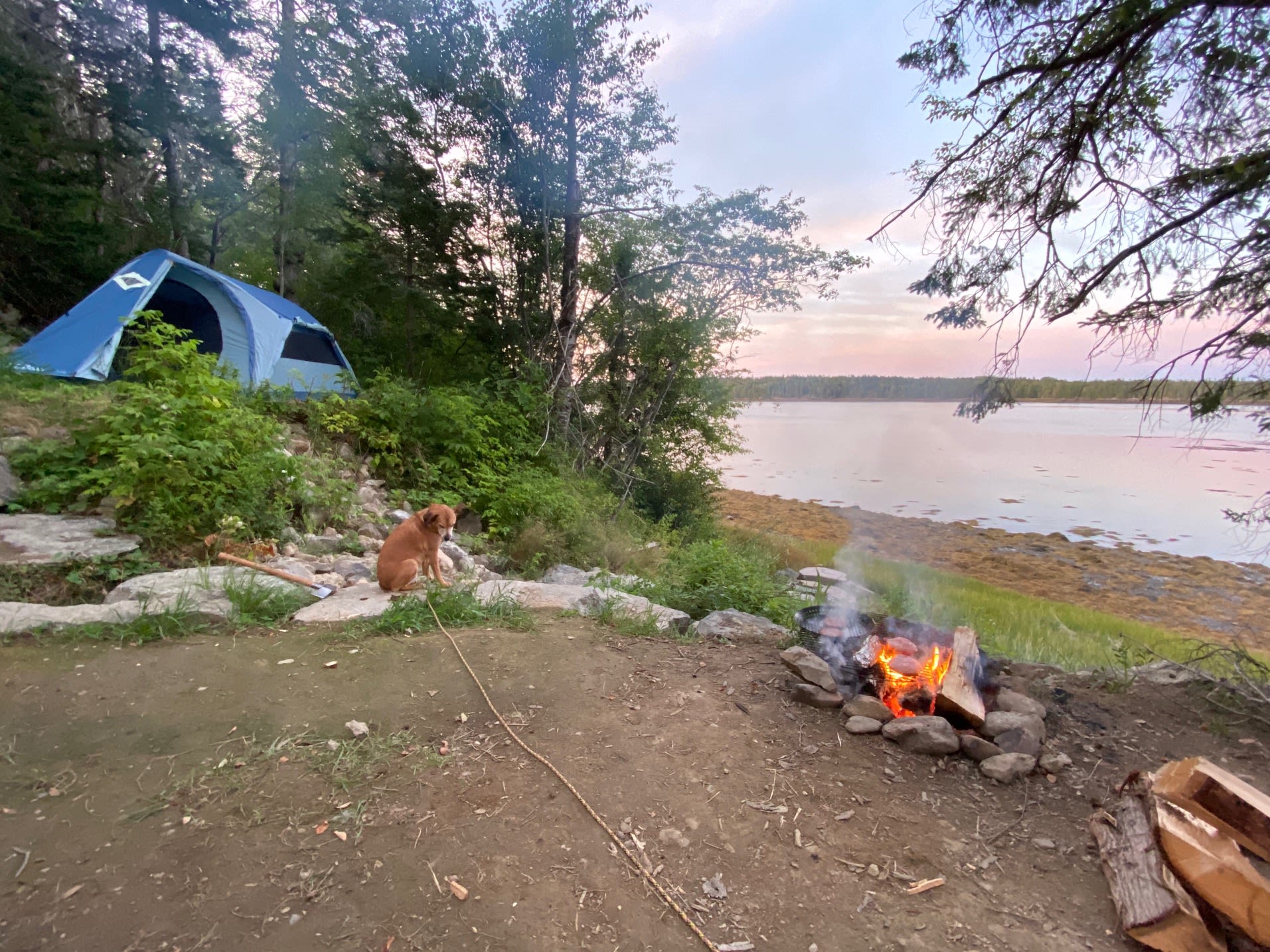 Elmer's Cove