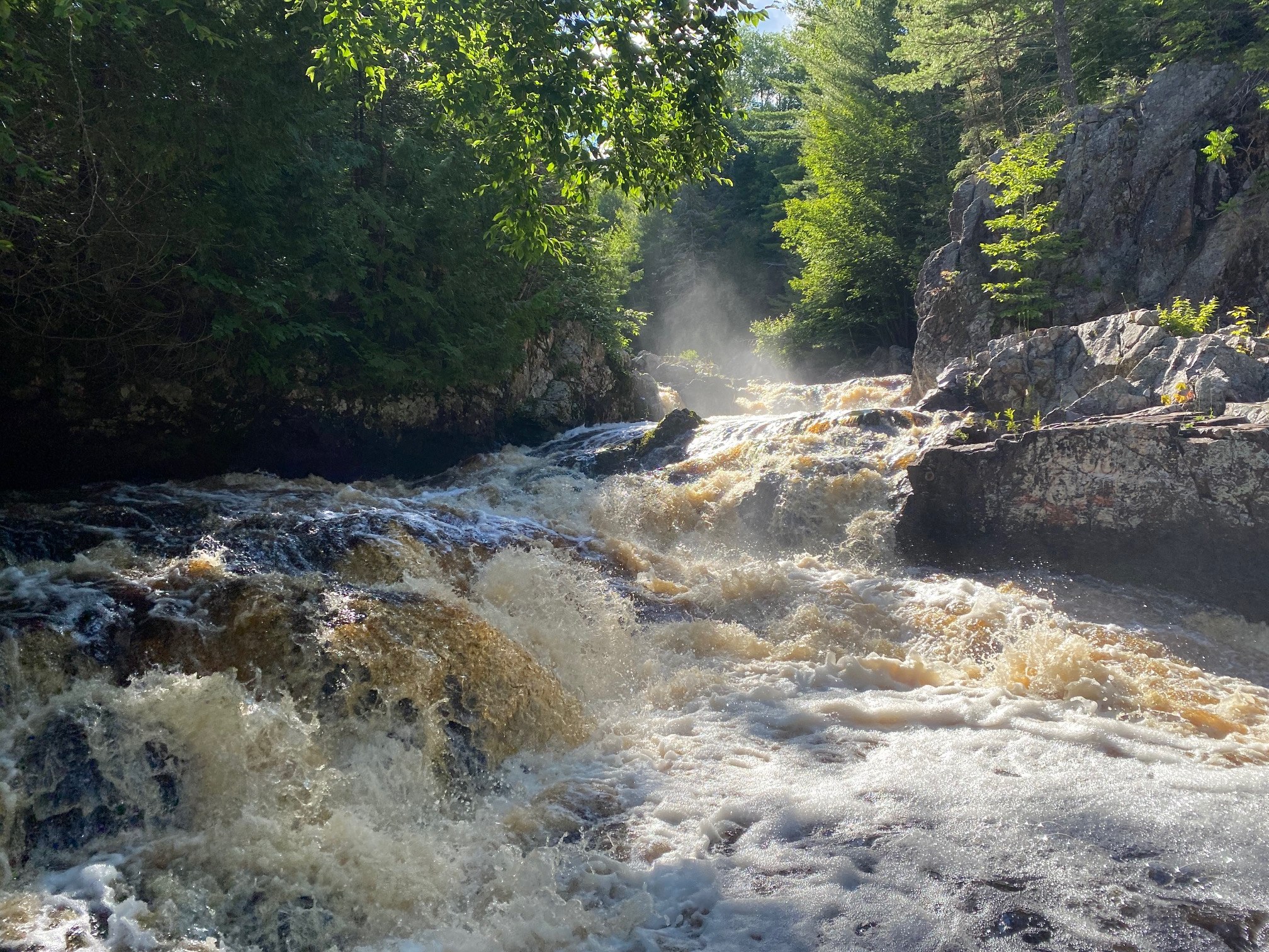 Bad River Wilderness