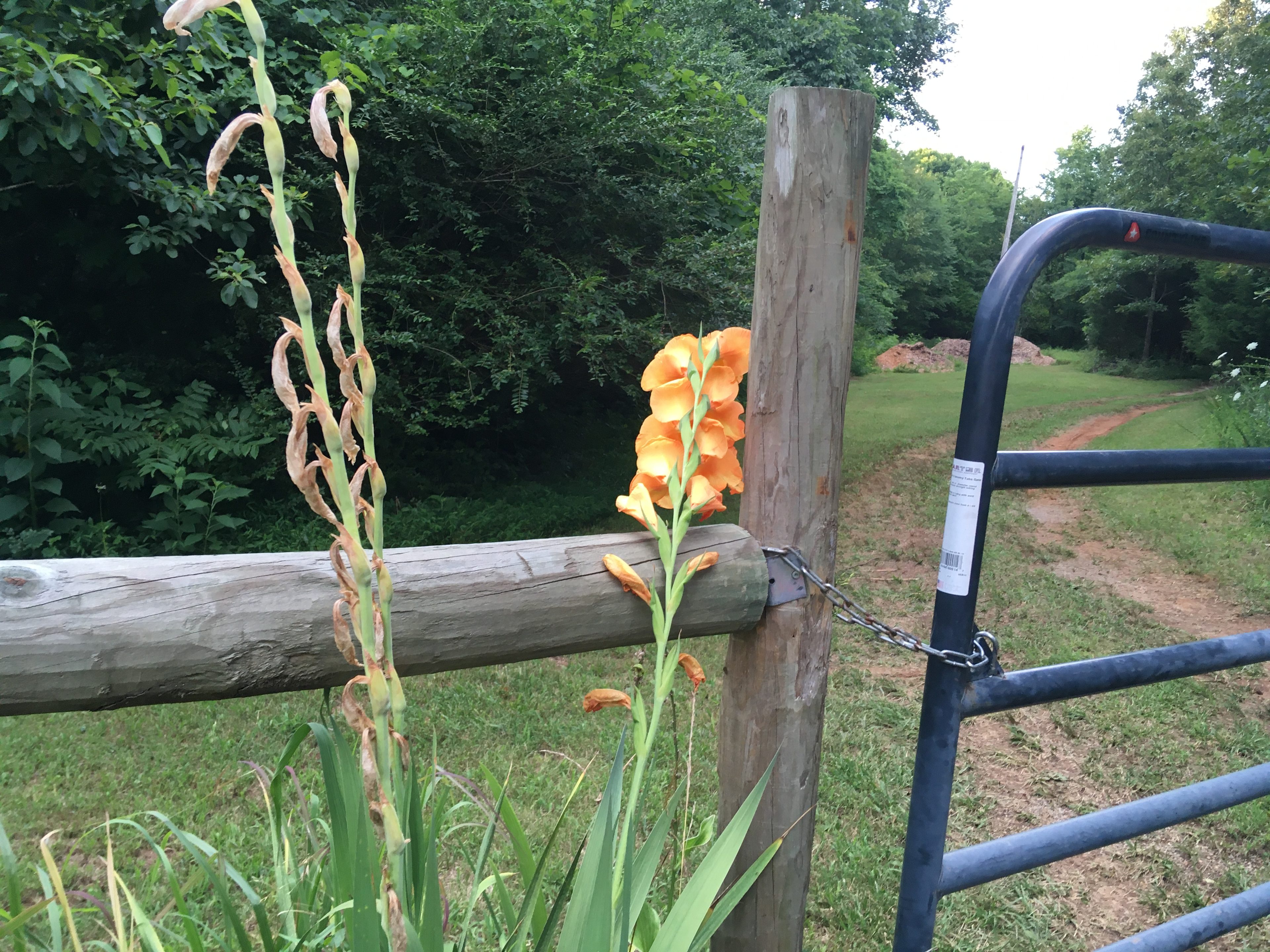 The gate leading to Twisted River Campsite, normally left open during season and adorned by beautiful flowers.