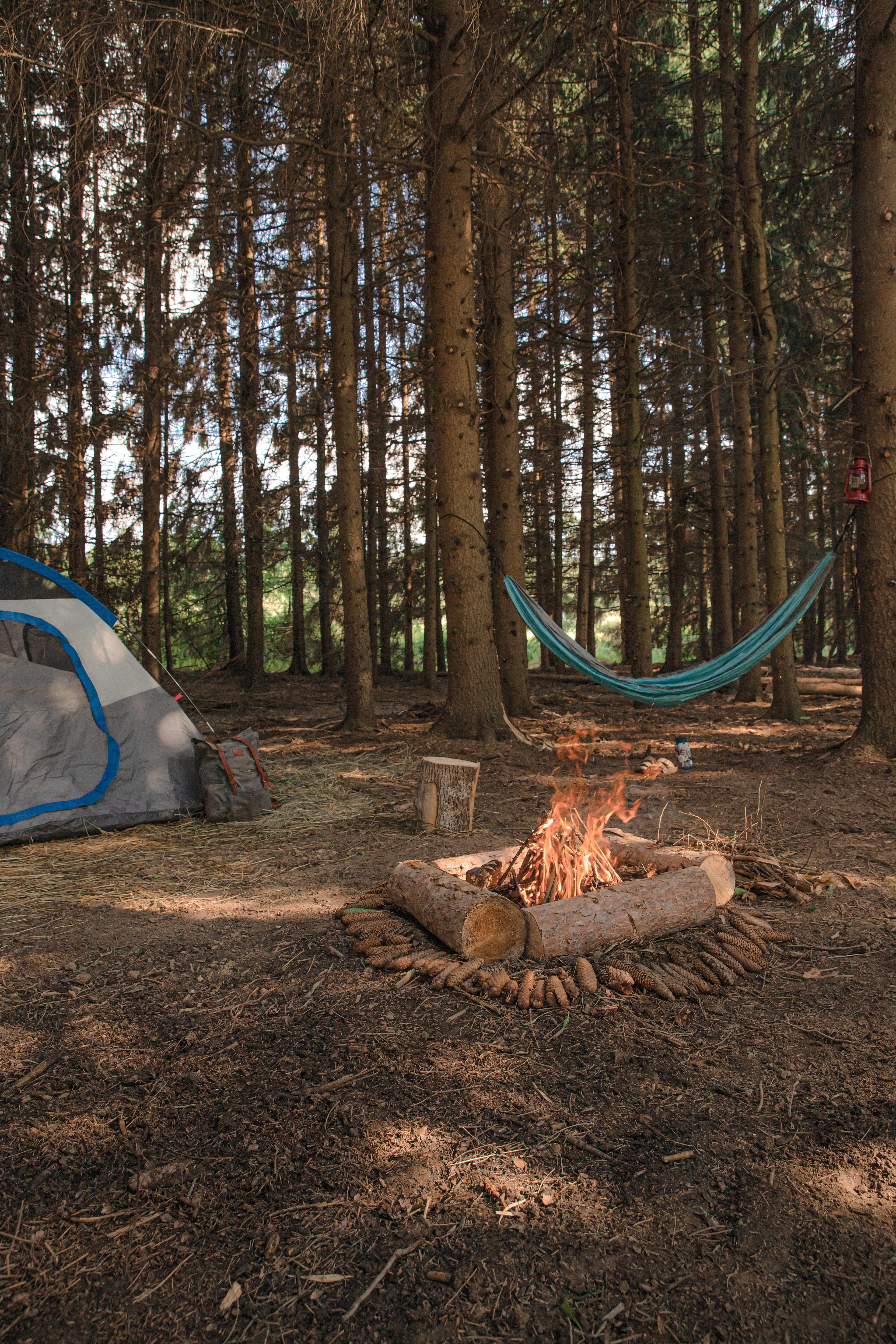 Your wooden oasis