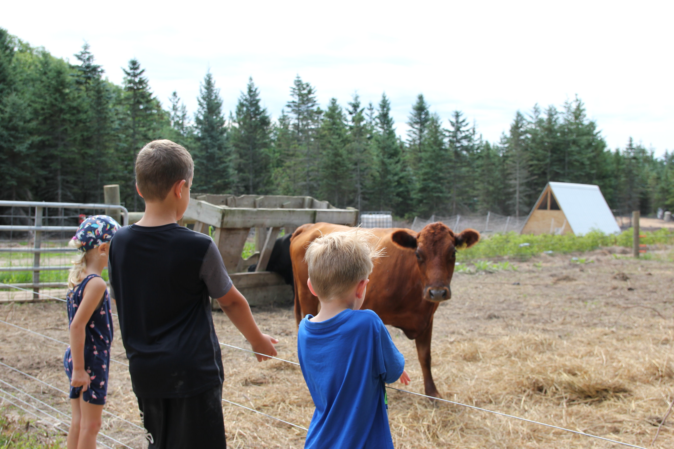explore the garden rows