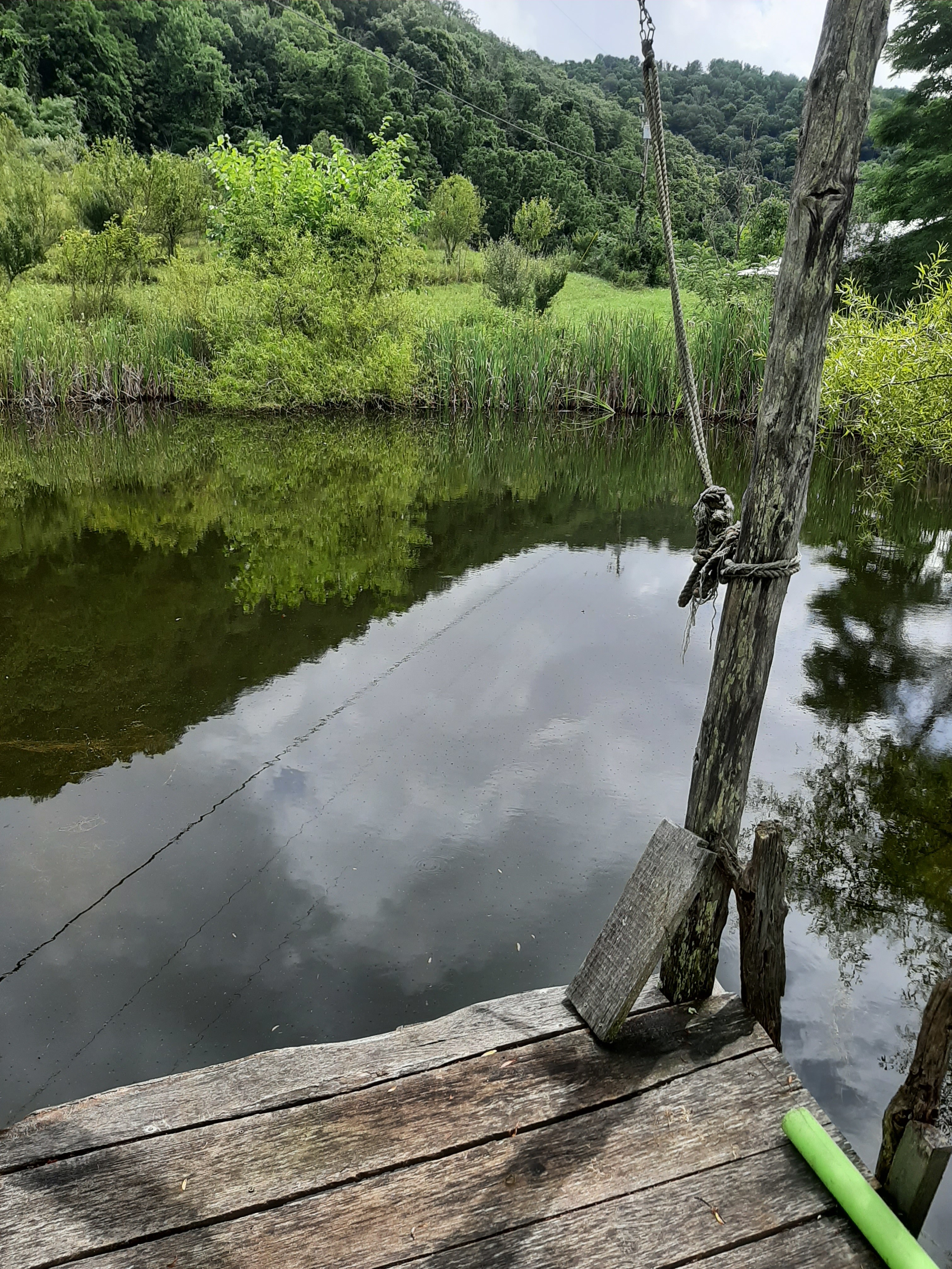 Our best of 4 swimming holes. They are small ponds. This one is about 8 ft deep