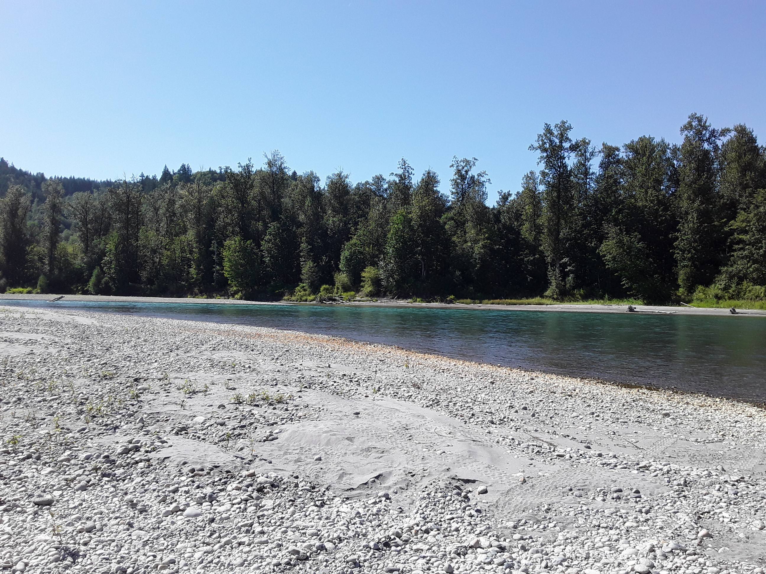 Nice walk to Skagit River (: