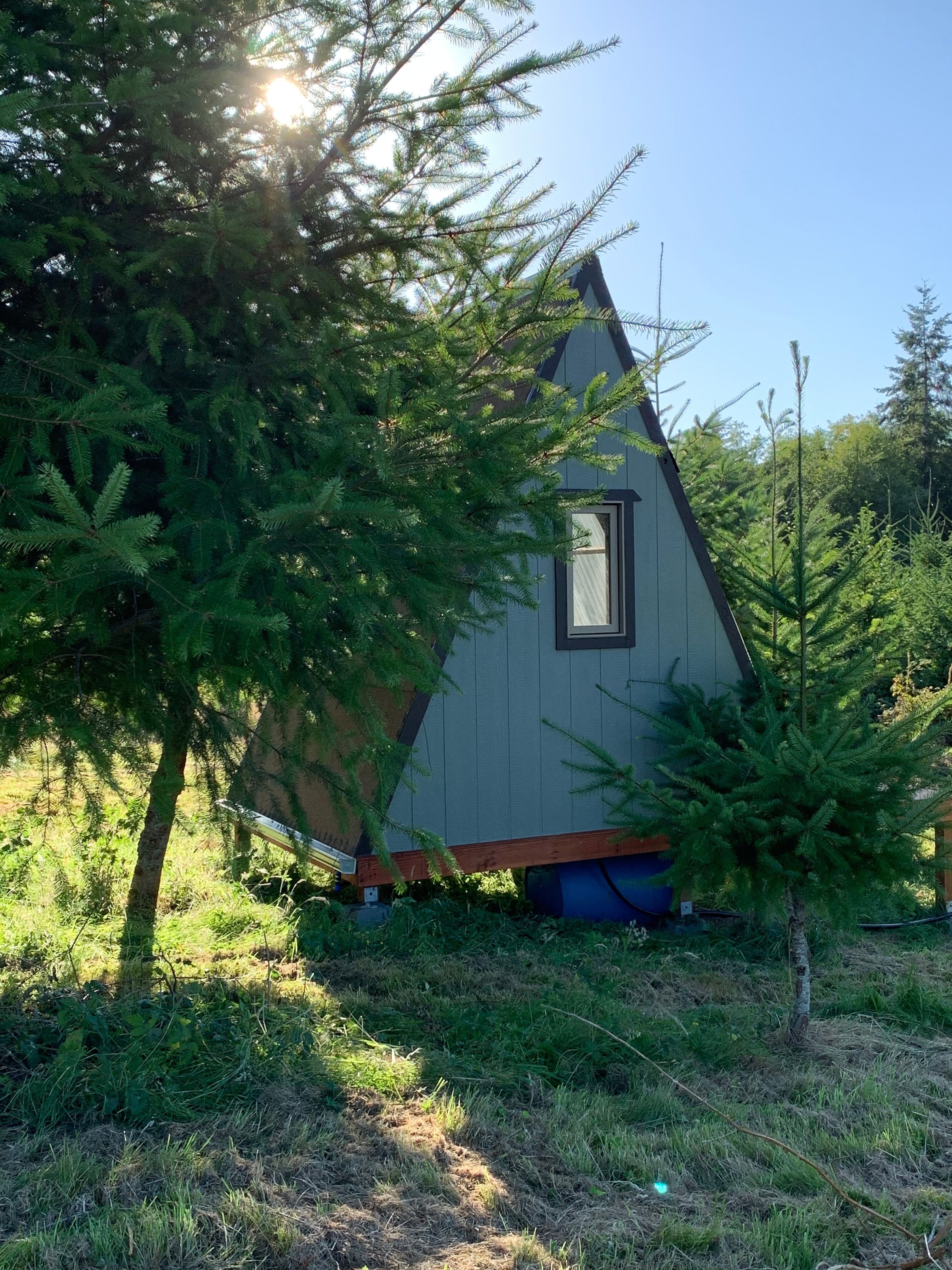 Side view of cabin