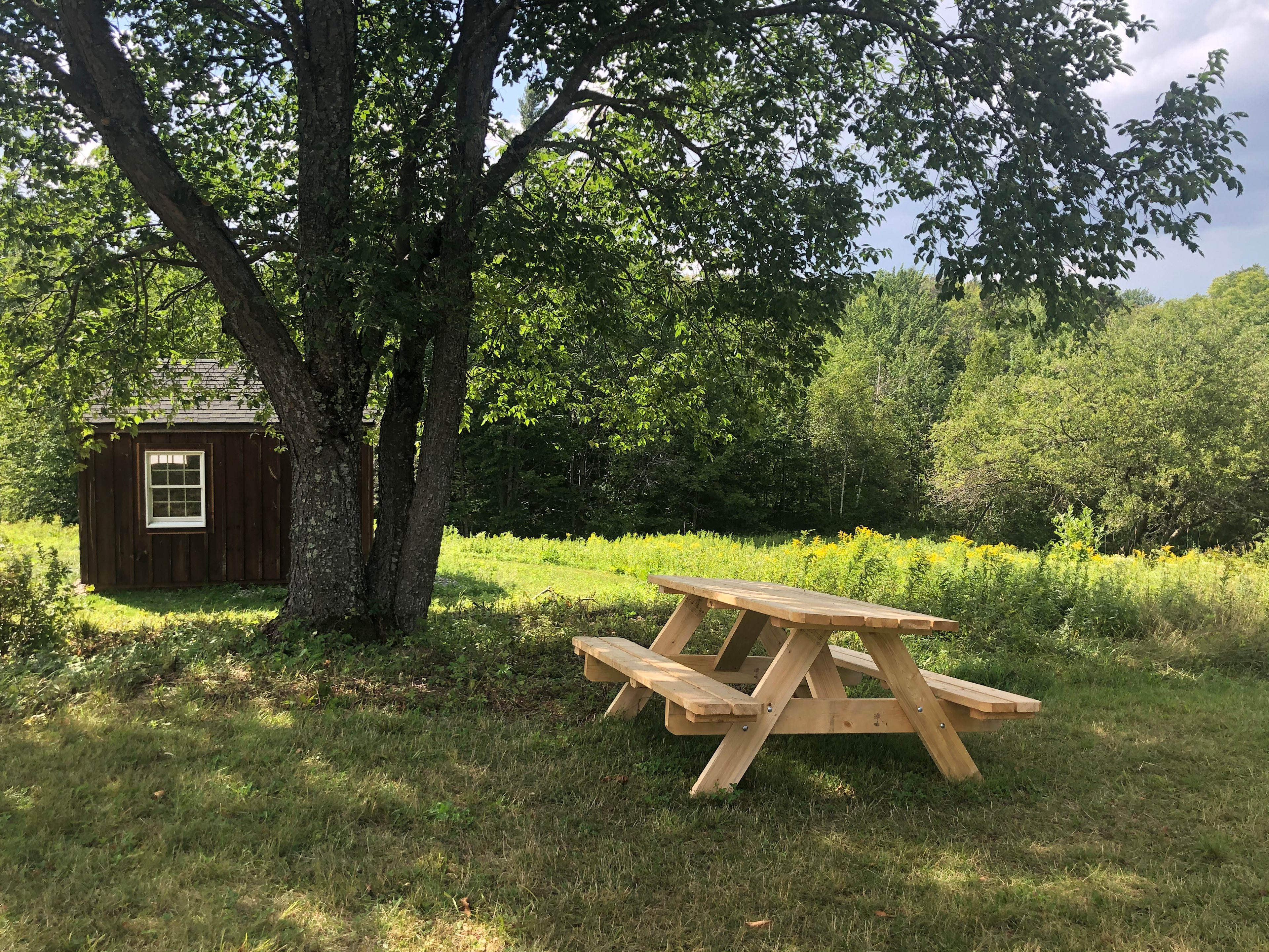 BlueberryHill  Field Camp