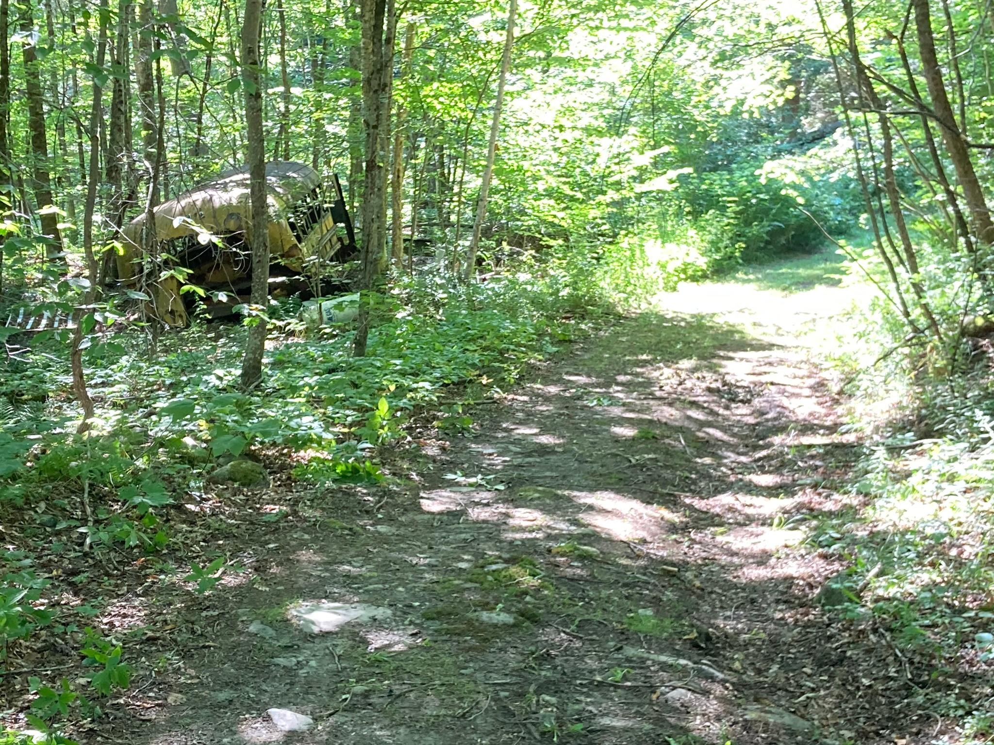 Grand Paws Farm Site 1