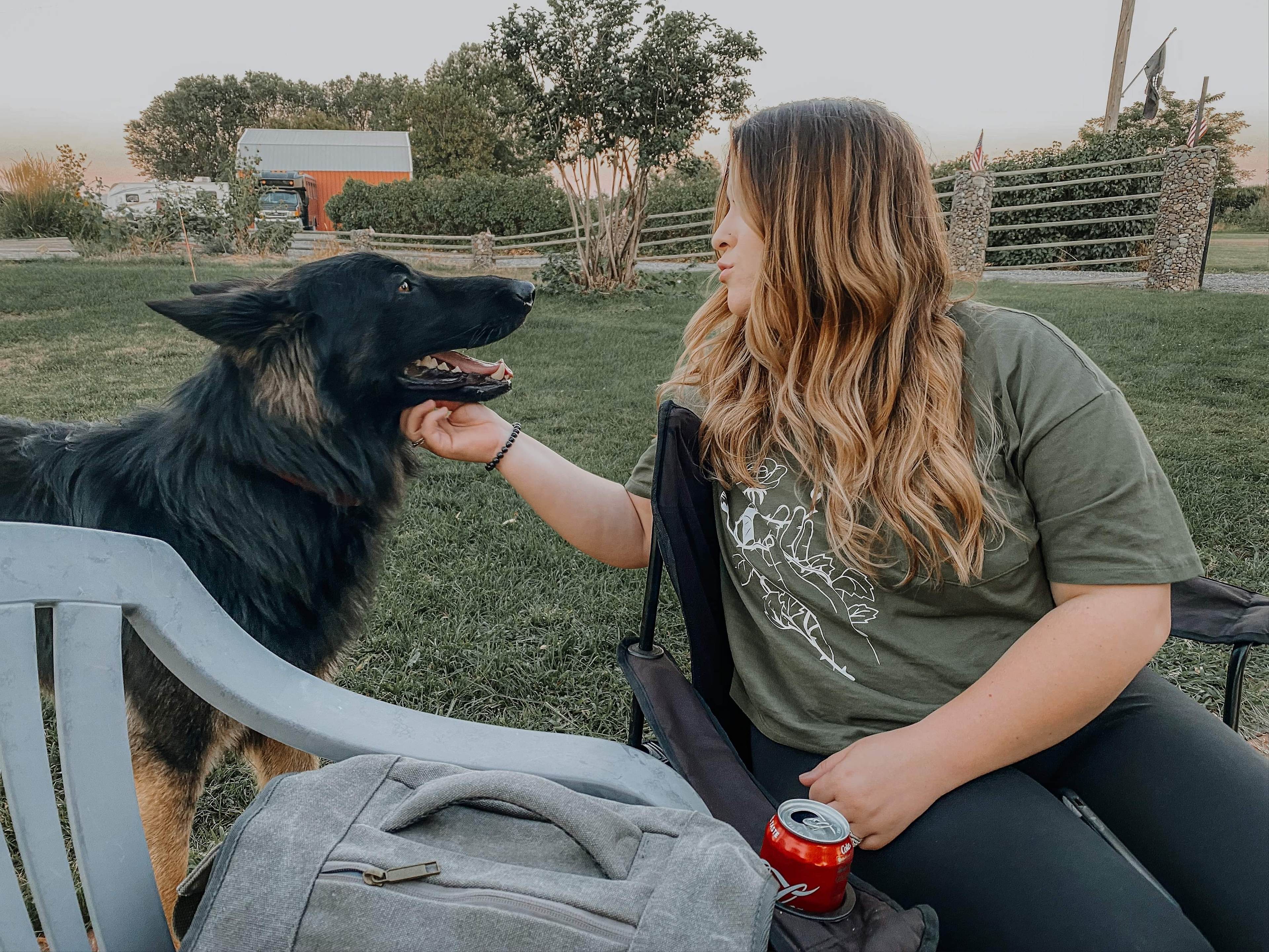 Shadow the wonderful security puppy! He was the best boy! 