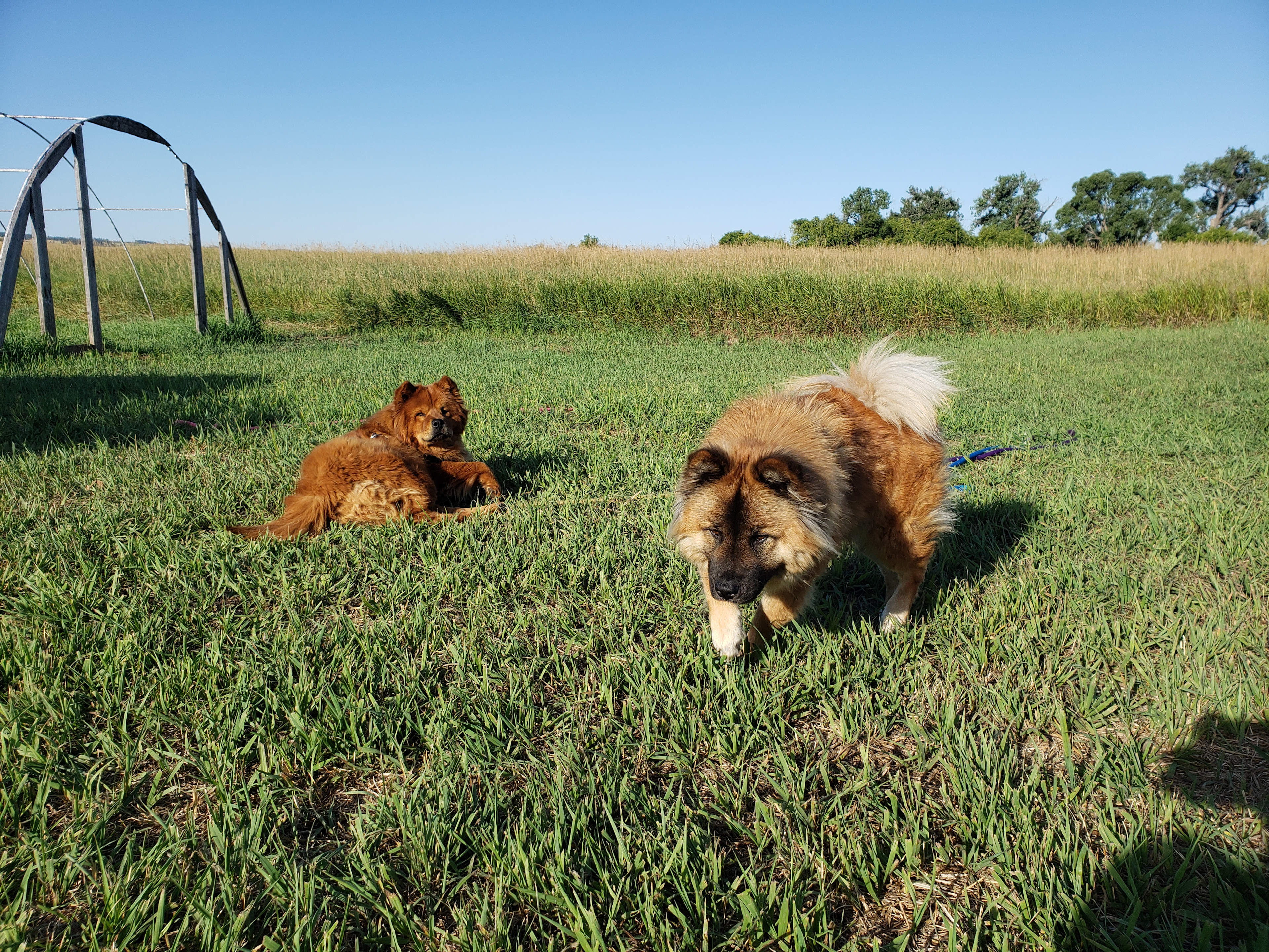 Redwater Revival Campground