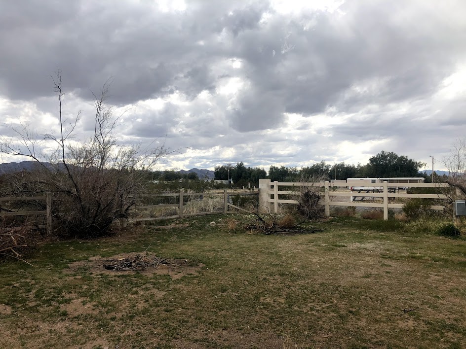 Miss Kathy's Short Branch