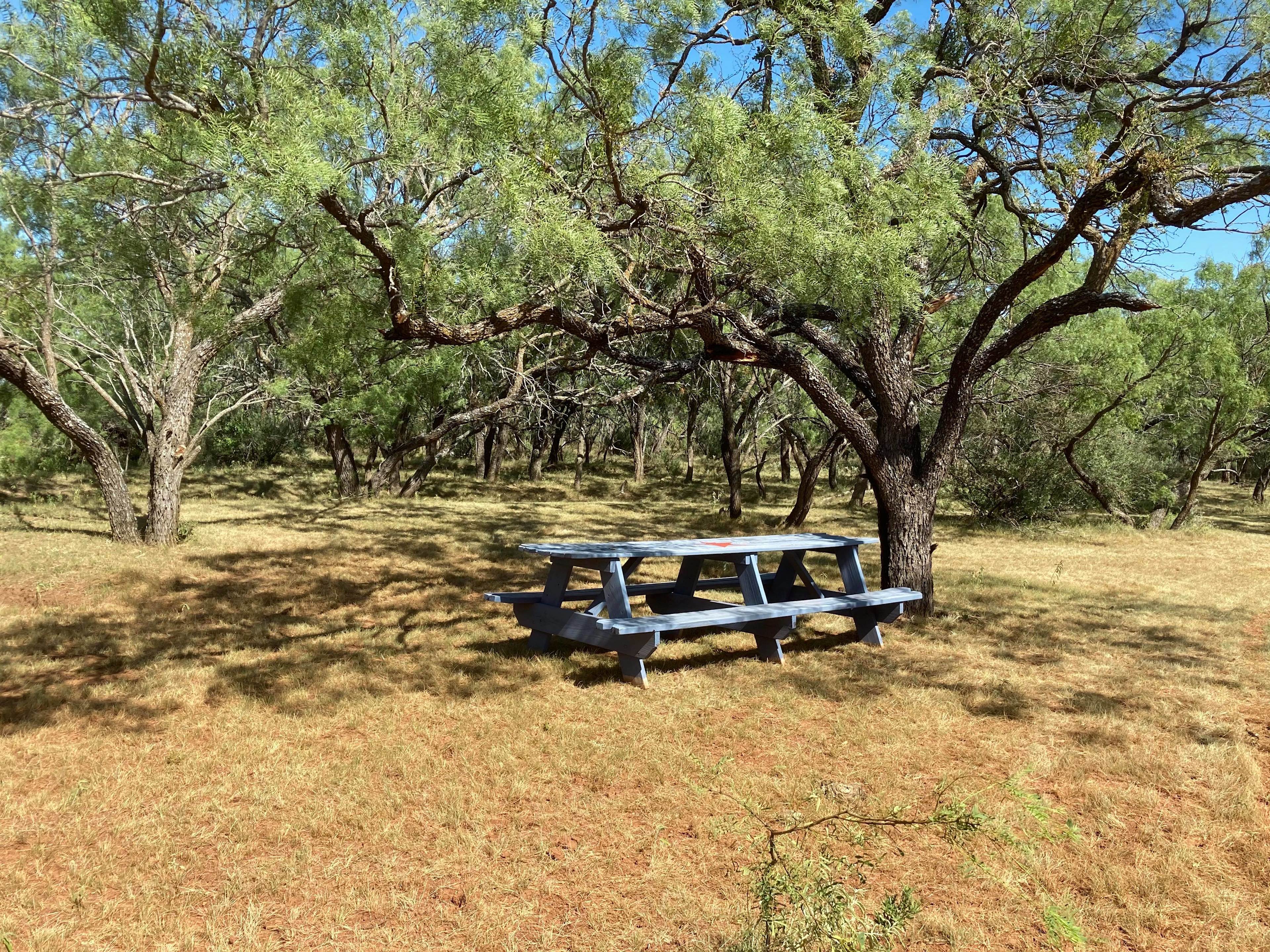 Large table and nice tent sites in the background