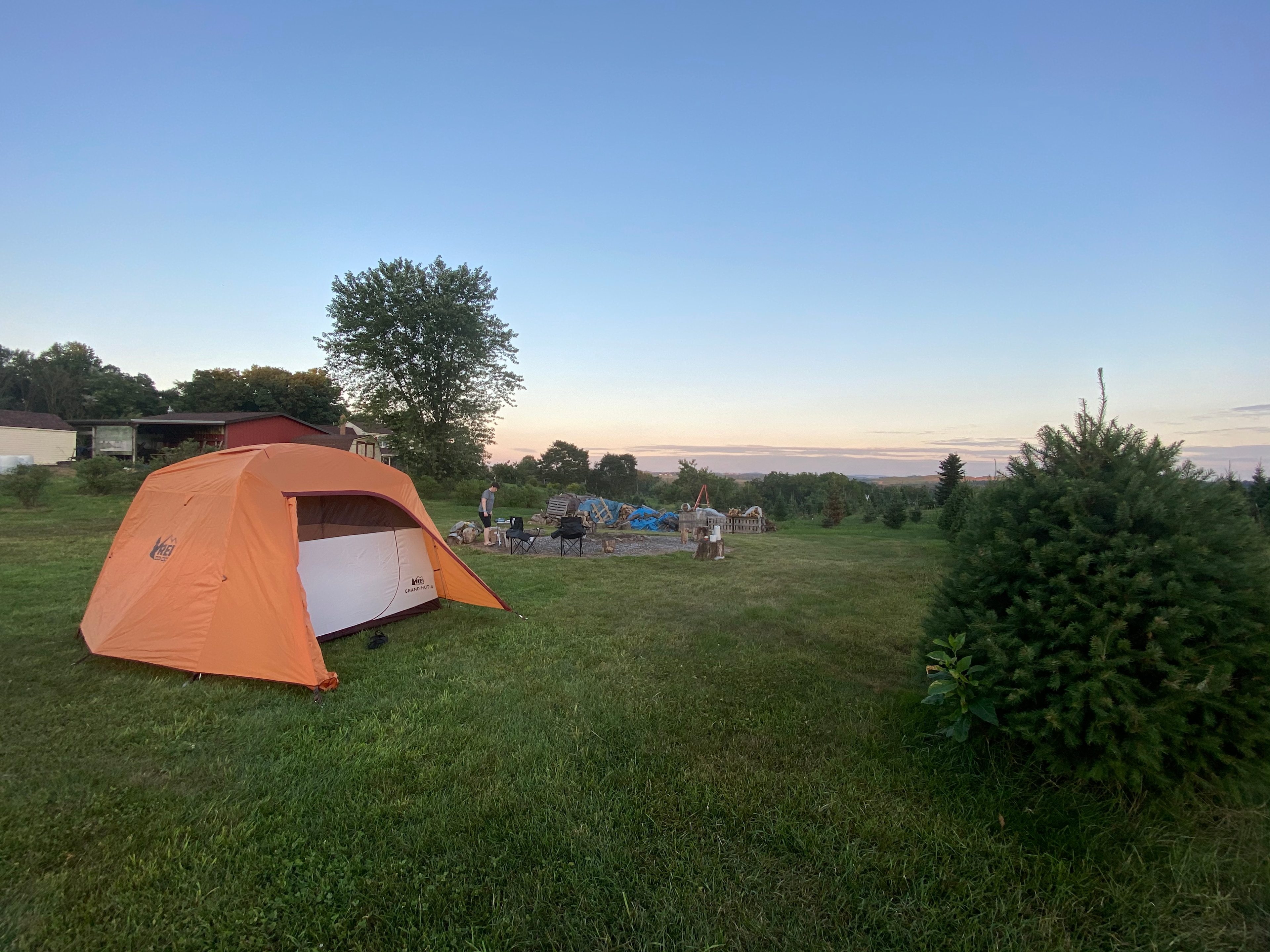 Christmas Tree Farm with Views