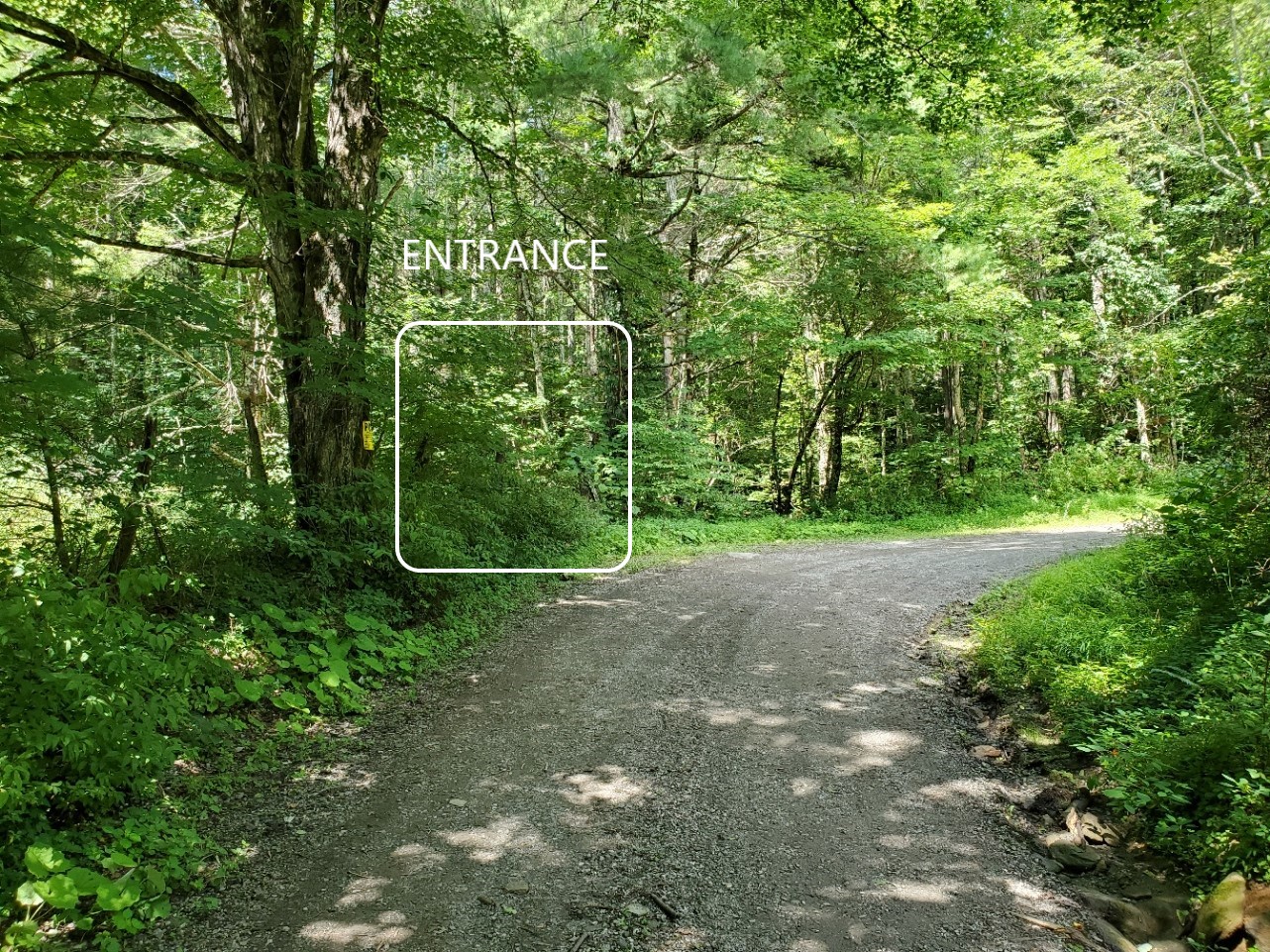 Approaching the entrance along the road. 